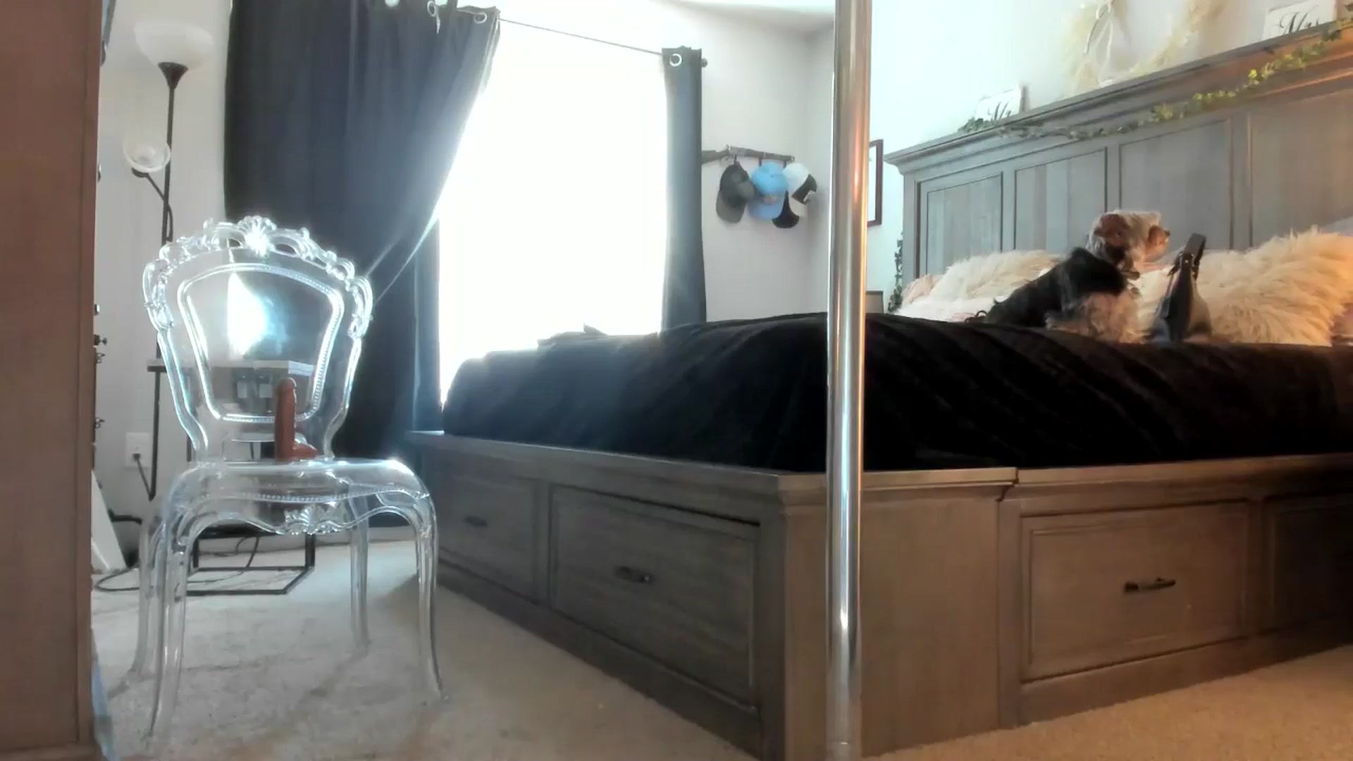 Gallery image thumbnail from MsMarilyn's myfreecams stream on, 05/16/2024, 18:15 image 6 of 20