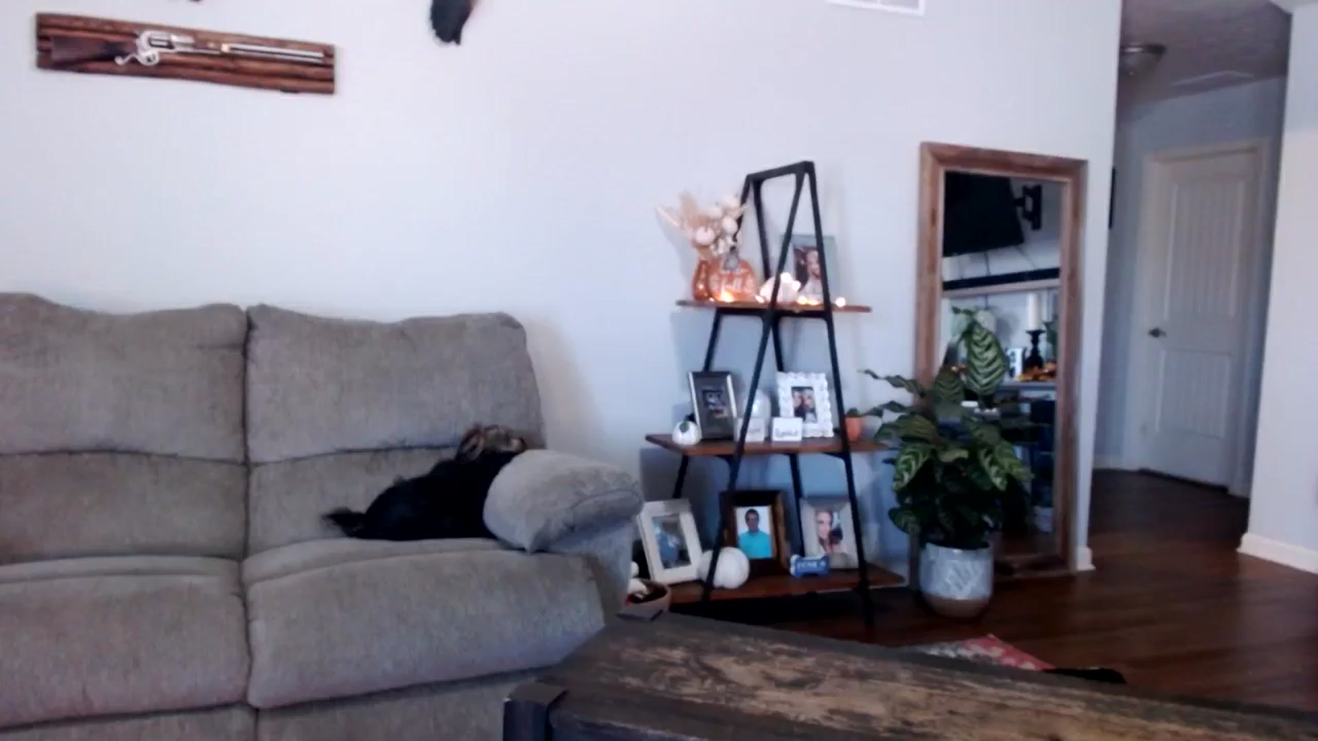 Gallery image thumbnail from MsMarilyn's myfreecams stream on, 09/10/2024, 19:43 image 14 of 20