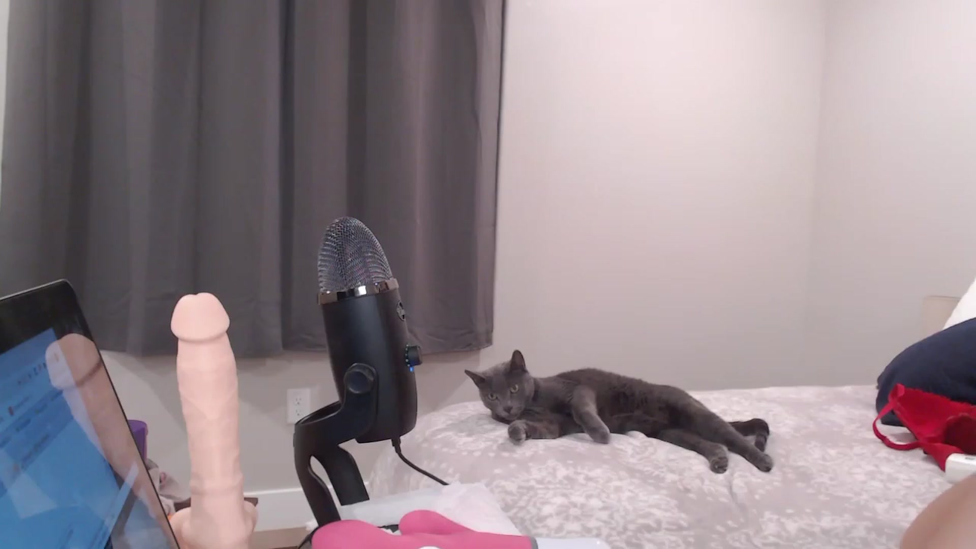 Gallery image thumbnail from MsMaxii's myfreecams stream on, 11/22/2022, 03:24 image 6 of 20