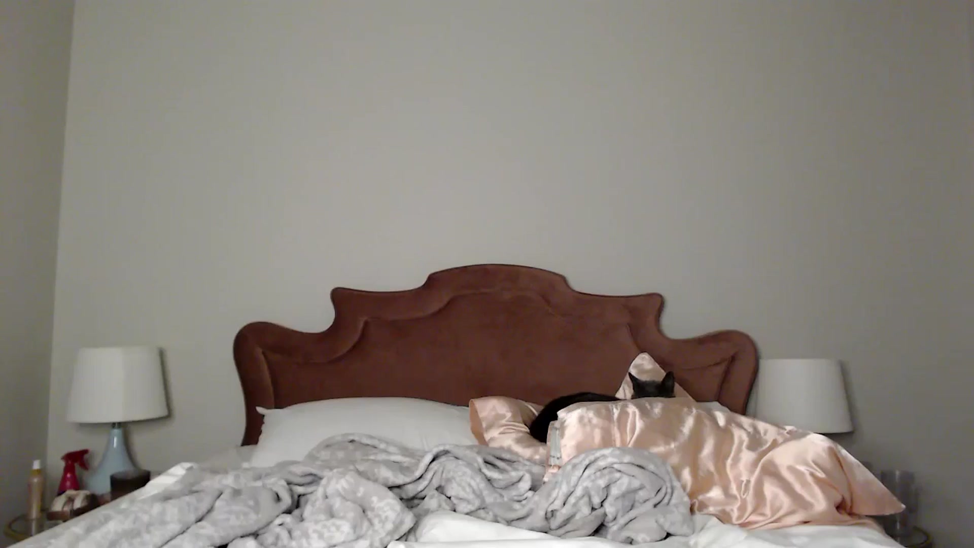 Gallery image thumbnail from MsMaxii's myfreecams stream on, 08/02/2025, 08:50 image 16 of 20