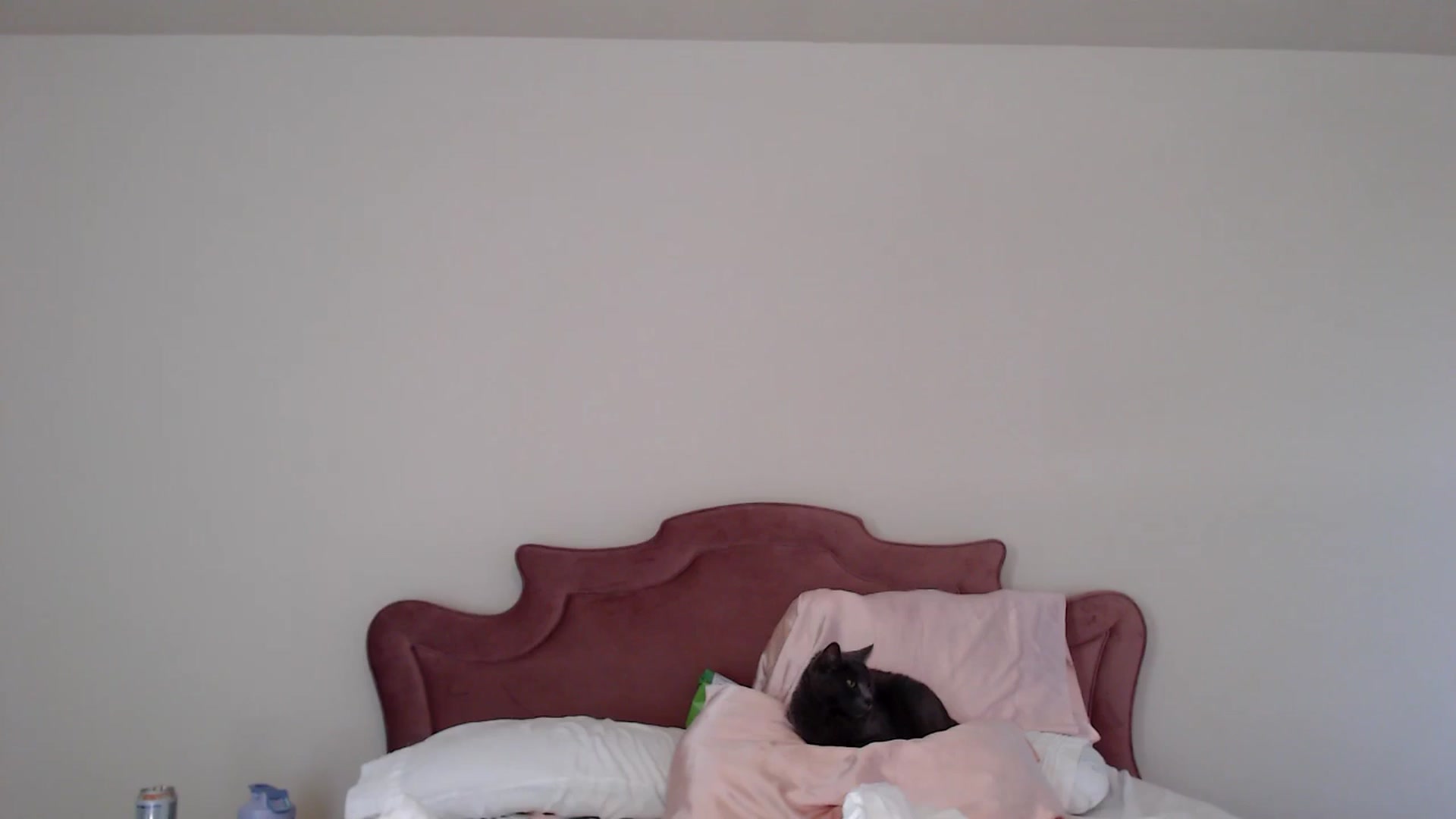 Gallery image thumbnail from MsMaxii's myfreecams stream on, 09/18/2025, 20:01 image 1 of 20