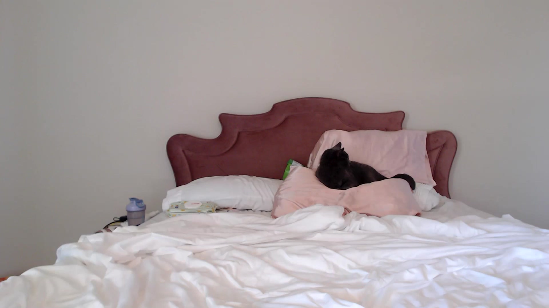 Gallery image thumbnail from MsMaxii's myfreecams stream on, 09/18/2025, 20:01 image 9 of 20