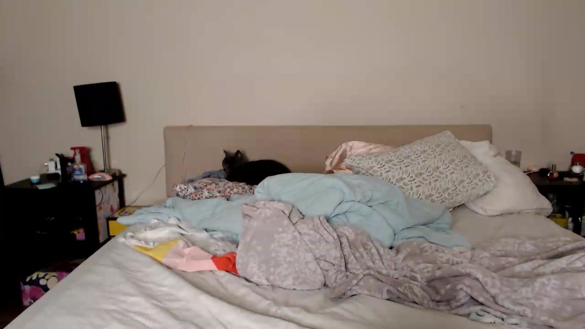 Gallery image thumbnail from MsMaxii's myfreecams stream on, 09/03/2026, 03:44 image 6 of 20