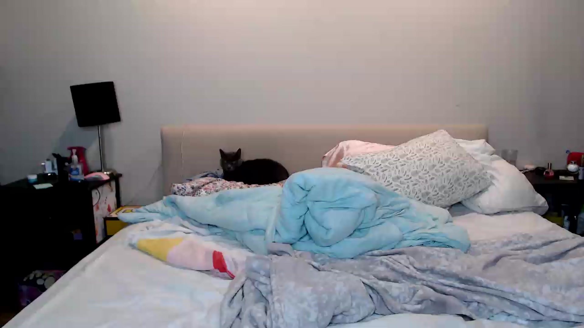 Gallery image thumbnail from MsMaxii's myfreecams stream on, 09/03/2026, 03:44 image 1 of 20