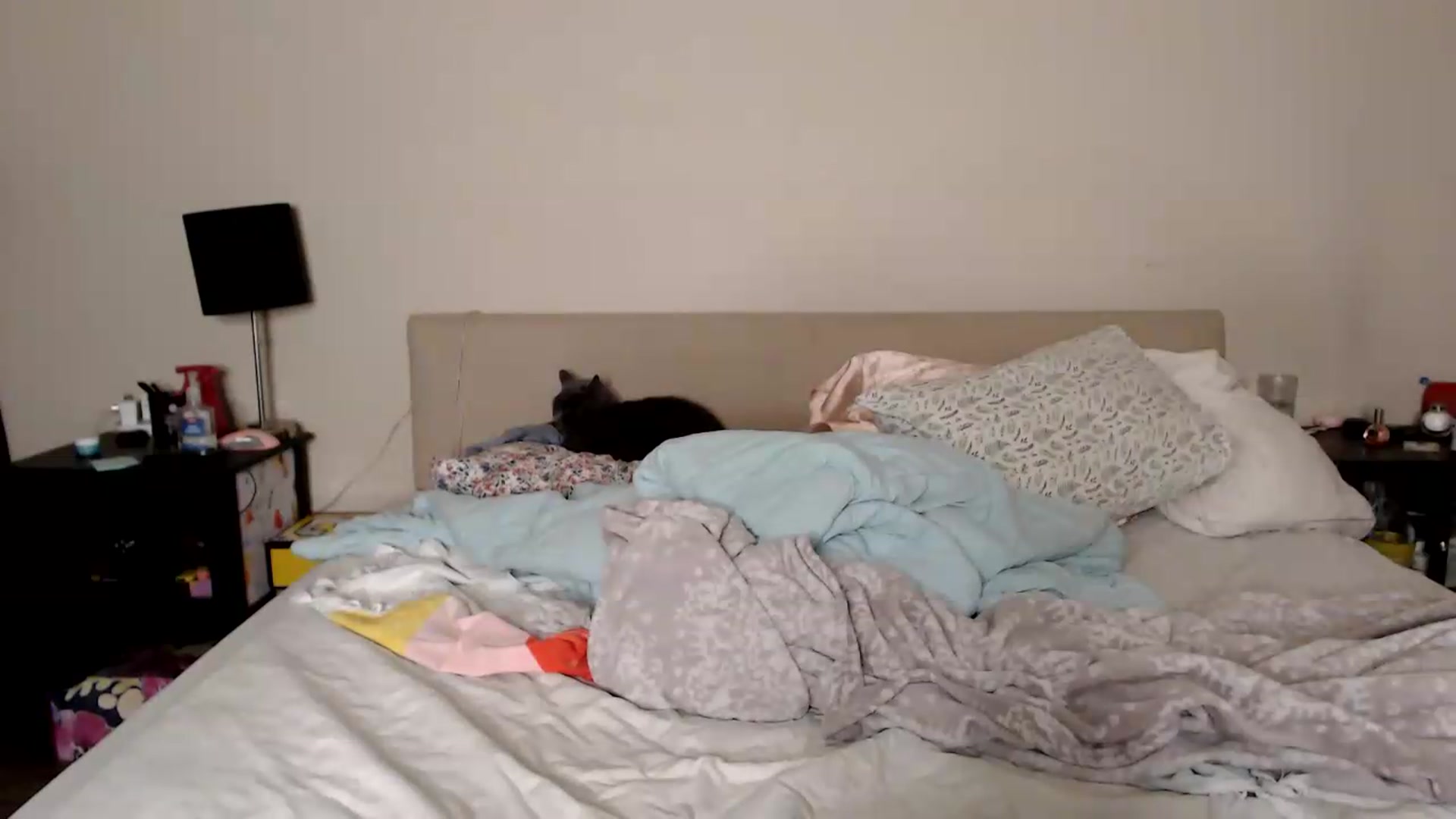 Gallery image thumbnail from MsMaxii's myfreecams stream on, 09/03/2026, 03:44 image 5 of 20