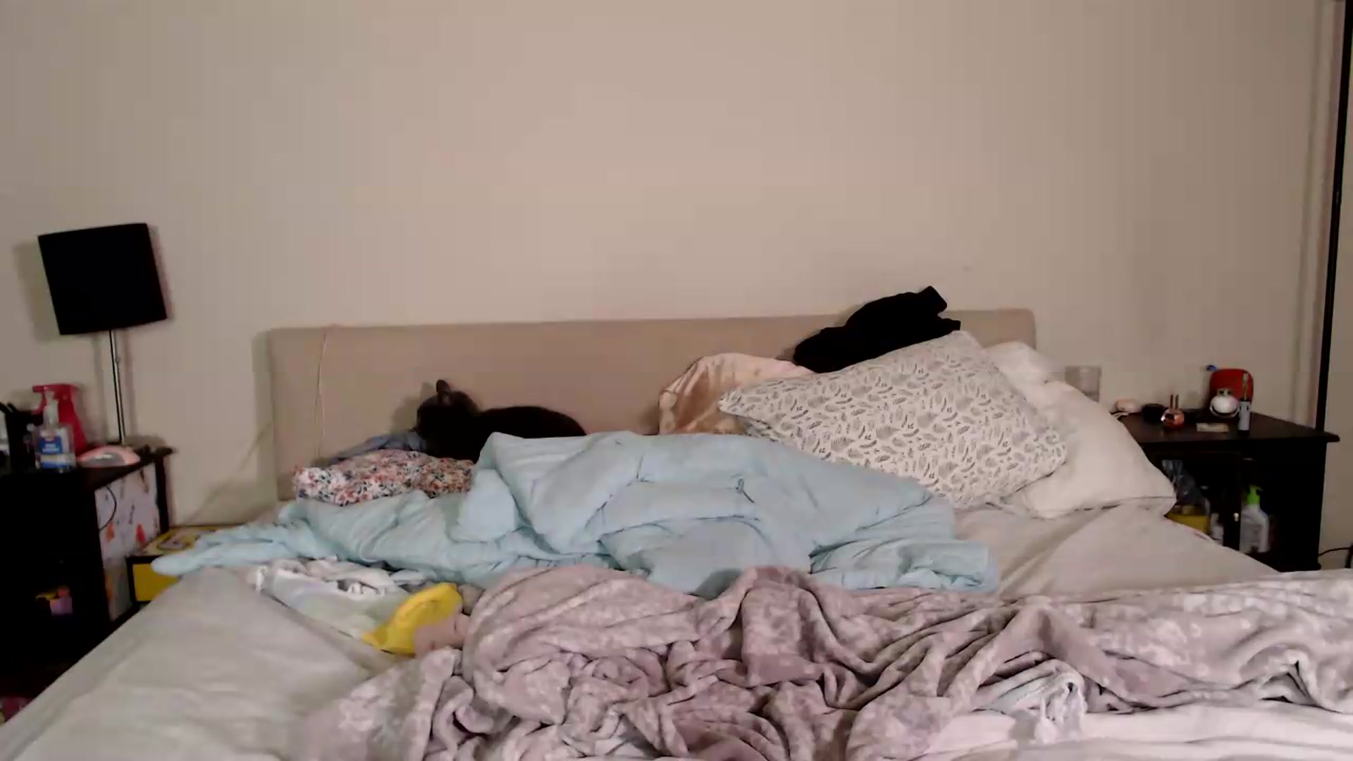 Gallery image thumbnail from MsMaxii's myfreecams stream on, 09/03/2026, 03:44 image 11 of 20