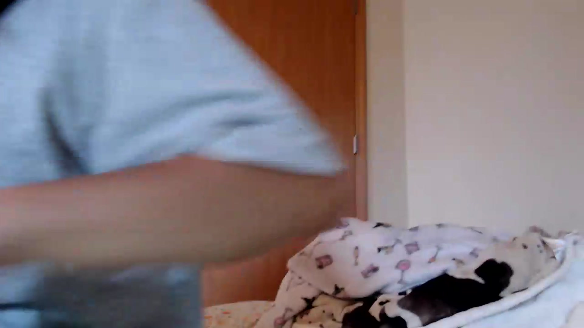 Gallery image thumbnail from MsMaxii's myfreecams stream on, 09/08/2026, 21:38 image 2 of 20