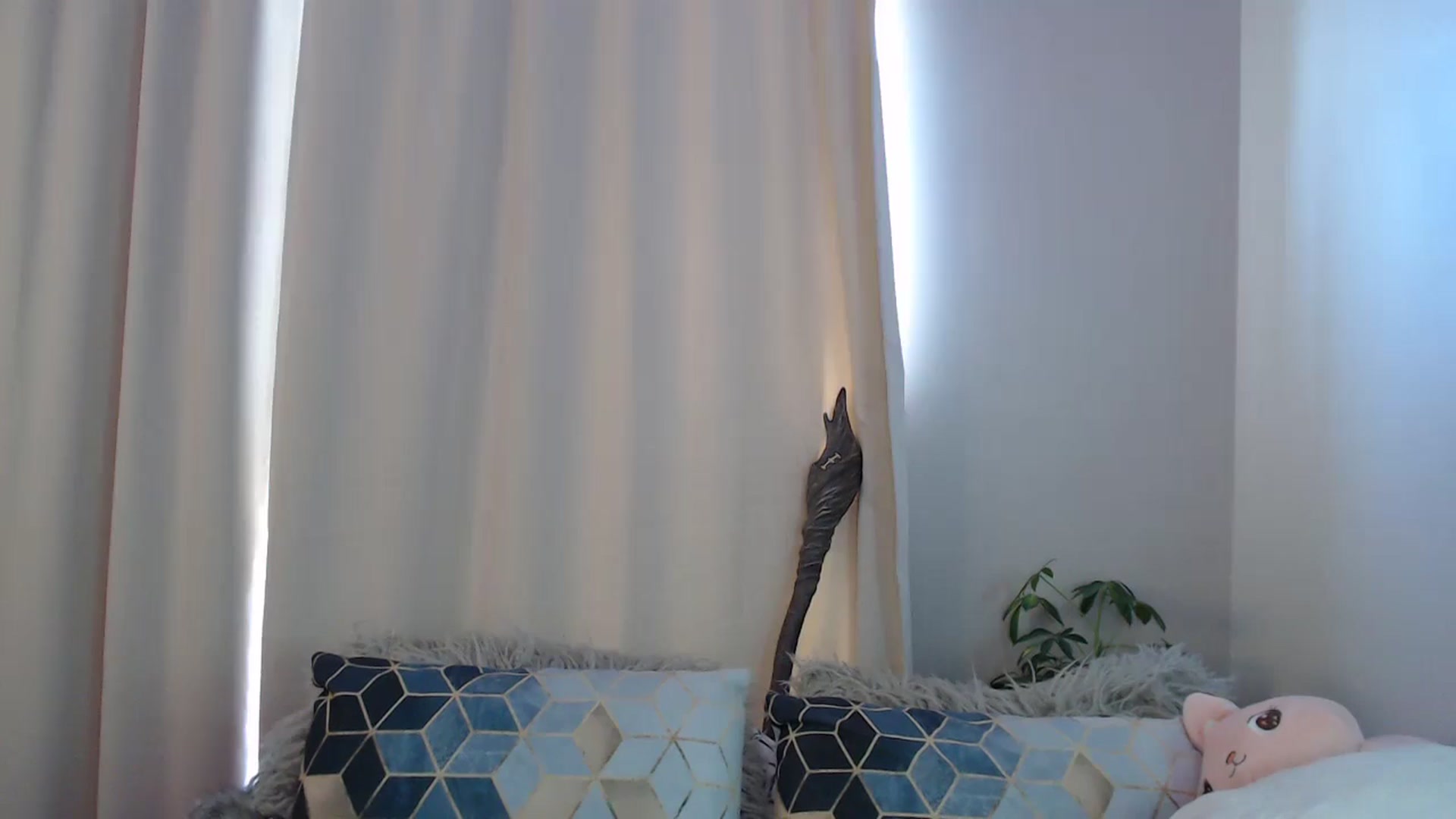 Gallery image thumbnail from MsRedheadMILF's myfreecams stream on, 12/20/2024, 18:01 image 20 of 20