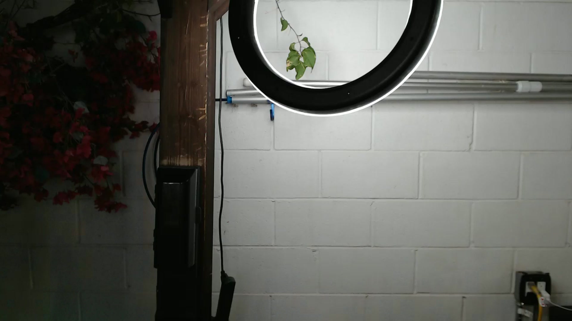 Gallery image thumbnail from MsRedheadMILF's myfreecams stream on, 10/08/2025, 05:12 image 10 of 20