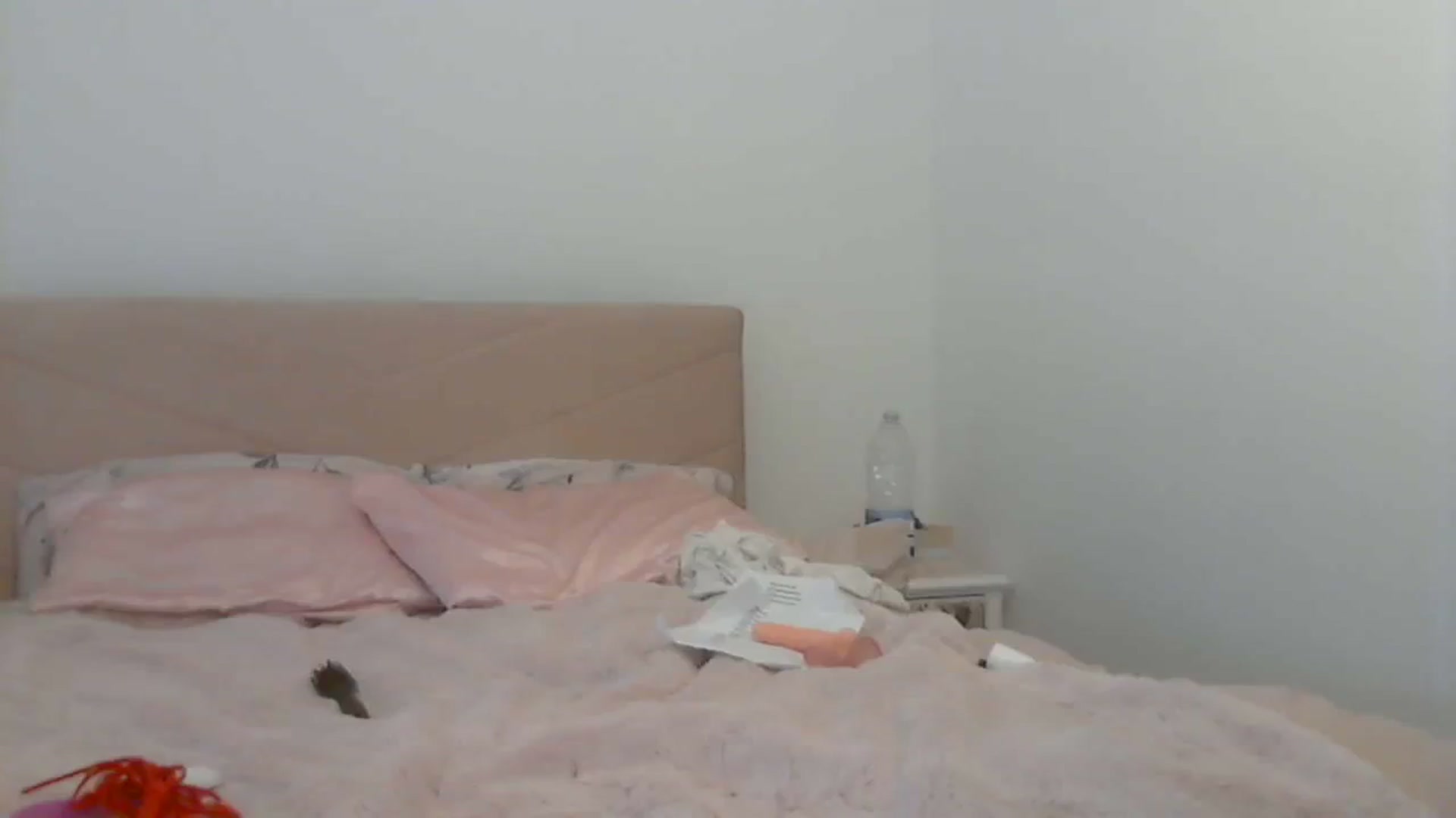 Gallery image thumbnail from MsReneeXtra's myfreecams stream on, 08/14/2023, 11:09 image 6 of 20