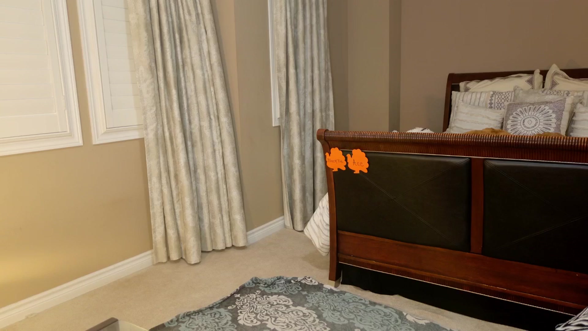 Gallery image thumbnail from MsWetsversary's myfreecams stream on, 11/09/2025, 24:59 image 14 of 20