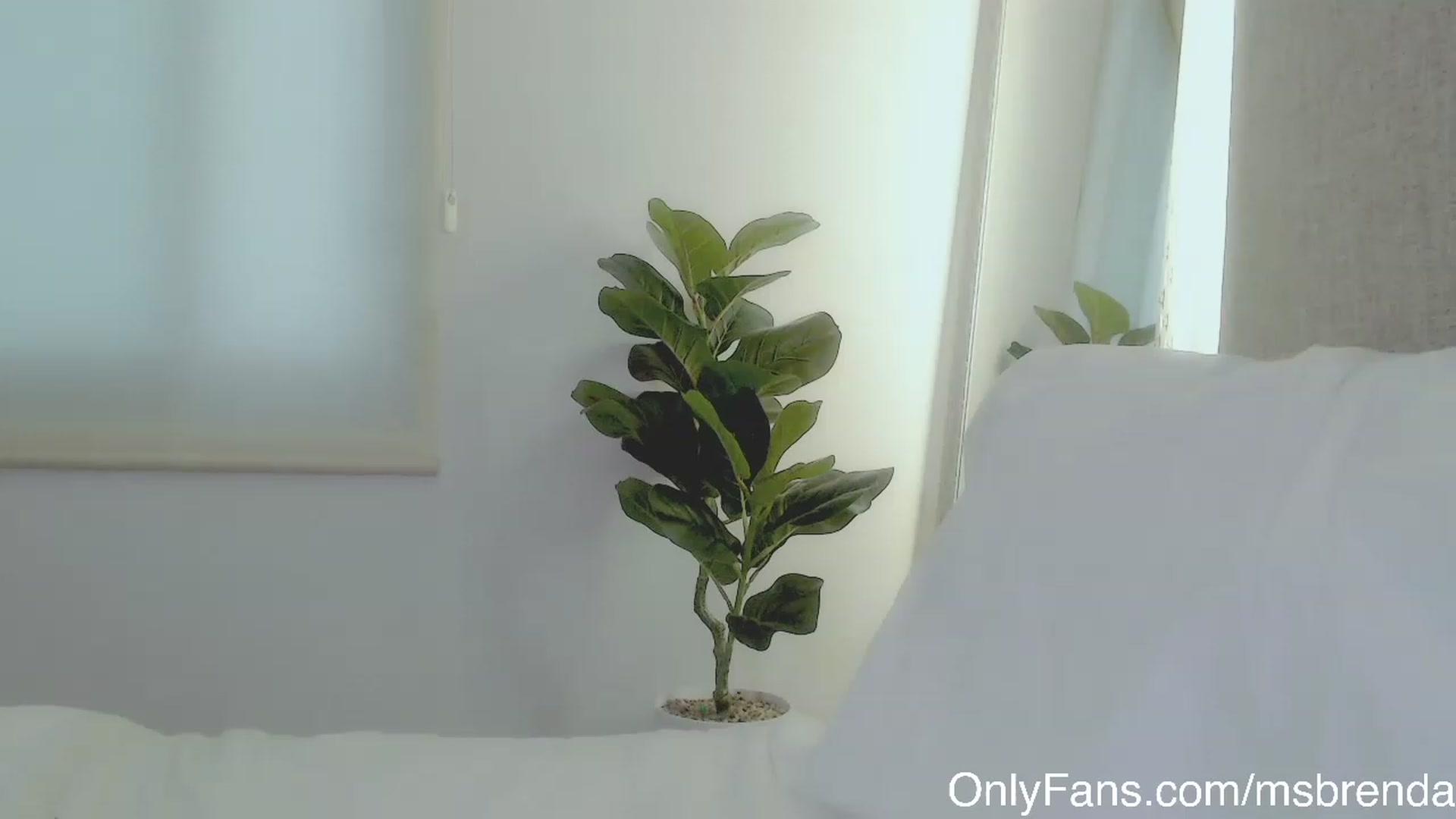 Gallery image thumbnail from Ms_Brenda's myfreecams stream on, 12/08/2022, 20:38 image 15 of 20