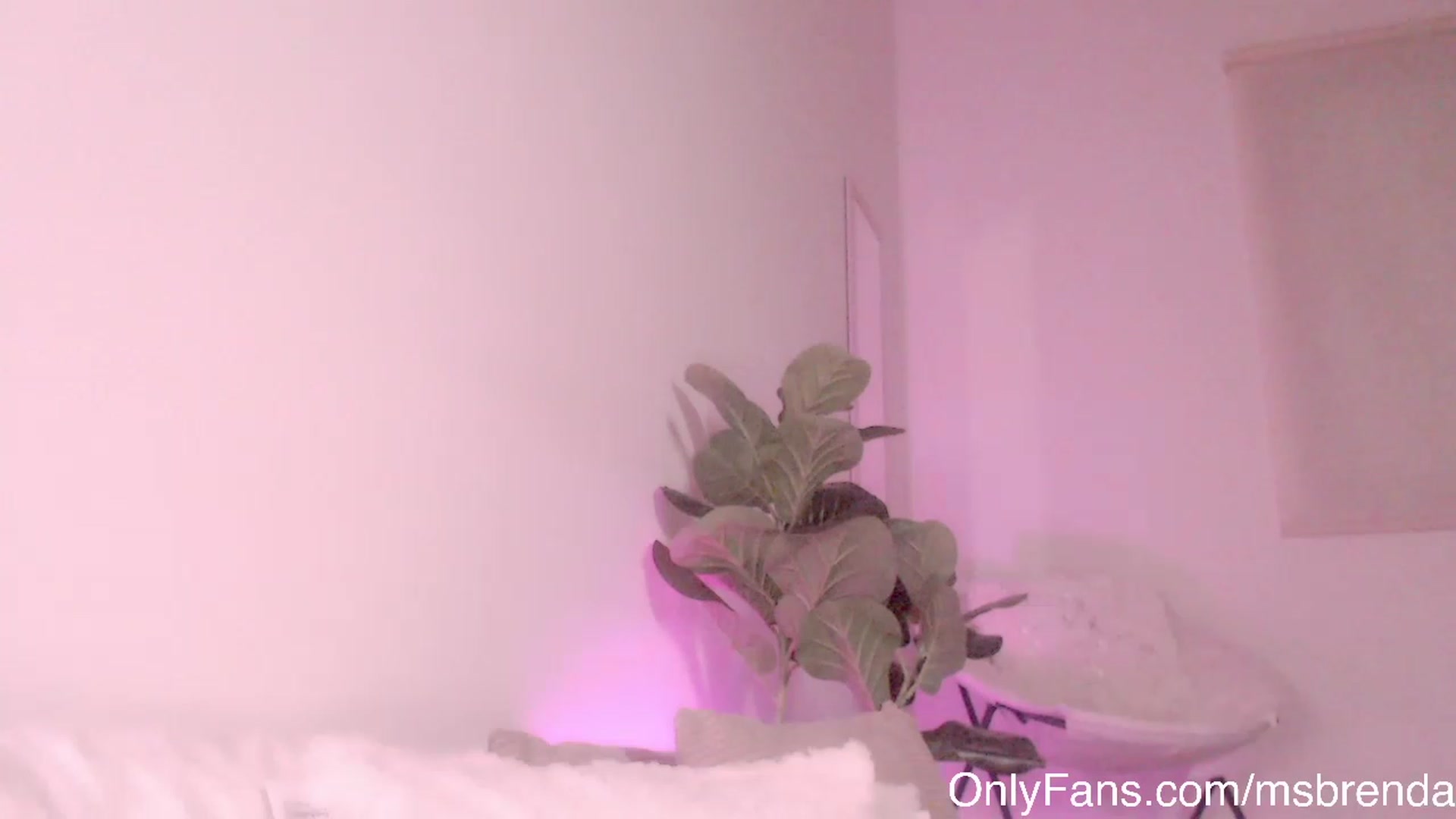 Gallery image thumbnail from Ms_Brenda's myfreecams stream on, 03/16/2023, 06:19 image 6 of 20