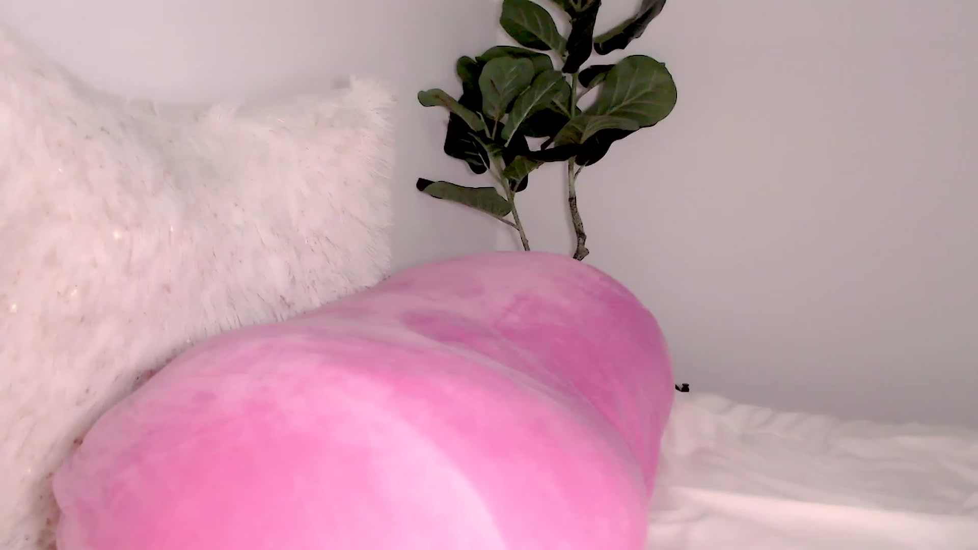Gallery image thumbnail from Ms_Brenda's myfreecams stream on, 08/21/2023, 19:34 image 17 of 20