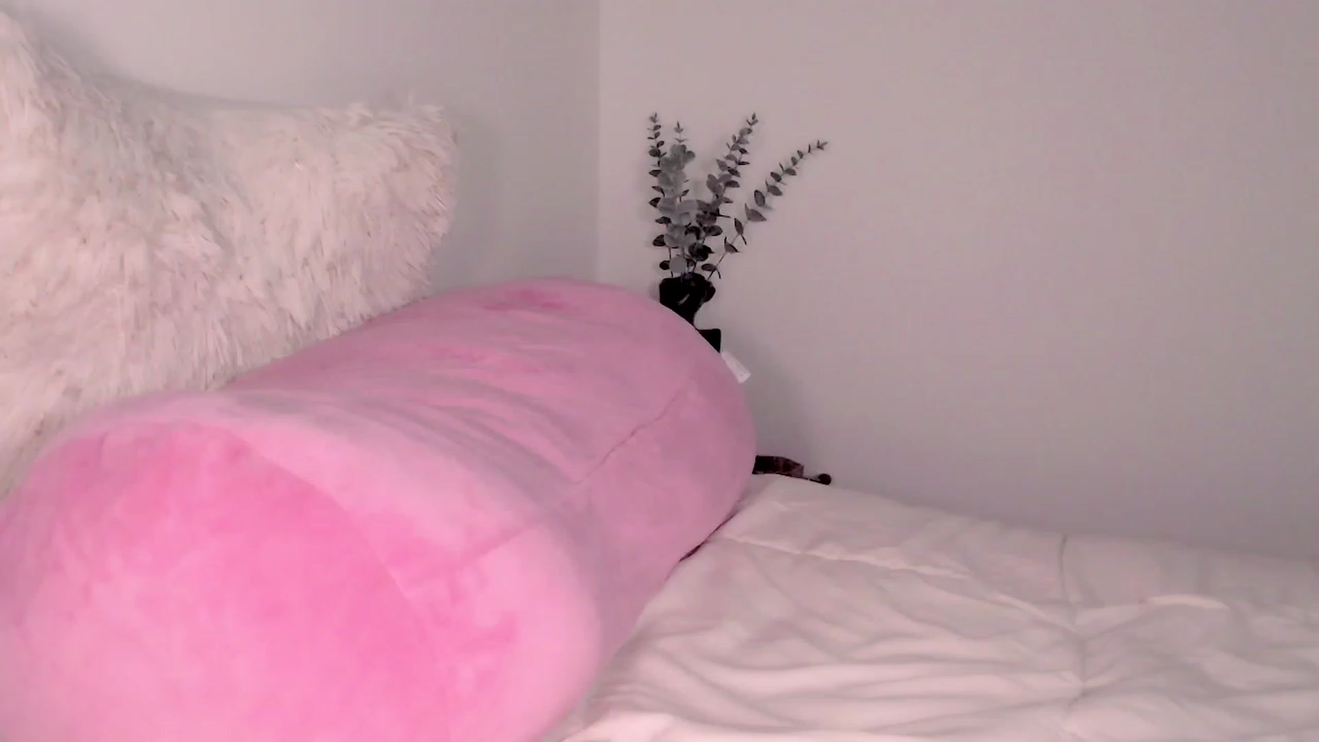 Gallery image thumbnail from Ms_Brenda's myfreecams stream on, 09/09/2023, 18:13 image 2 of 20