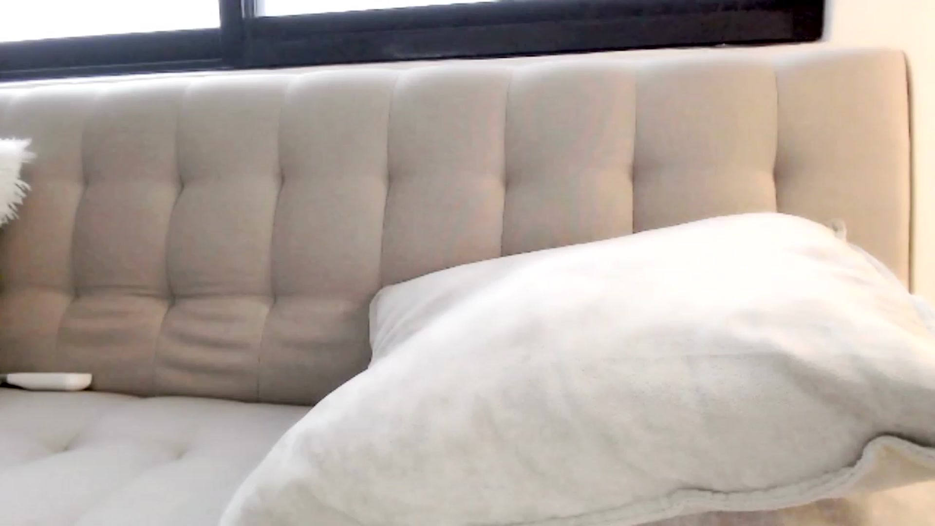 Gallery image thumbnail from Ms_Brenda's myfreecams stream on, 11/09/2023, 20:54 image 13 of 20