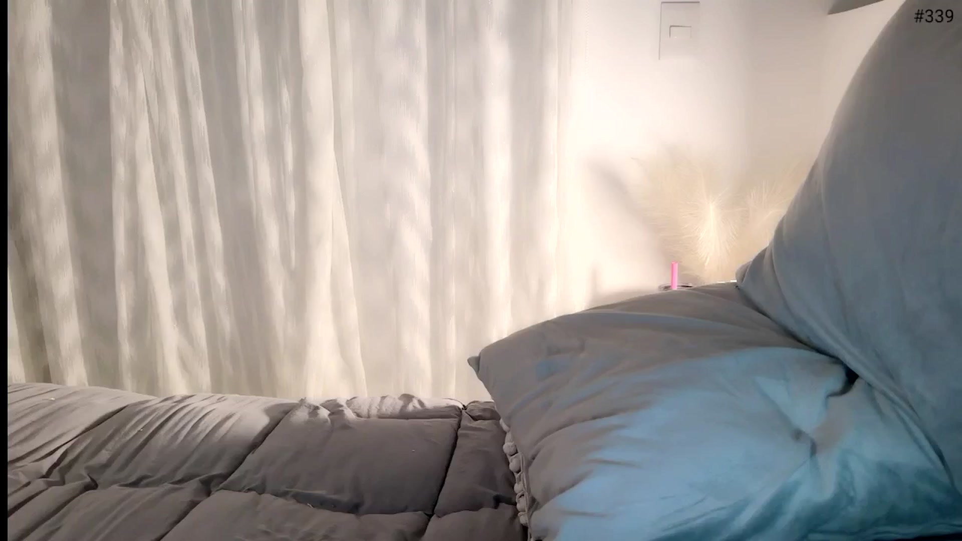 Gallery image thumbnail from Ms_Brenda's myfreecams stream on, 07/13/2024, 06:55 image 13 of 20
