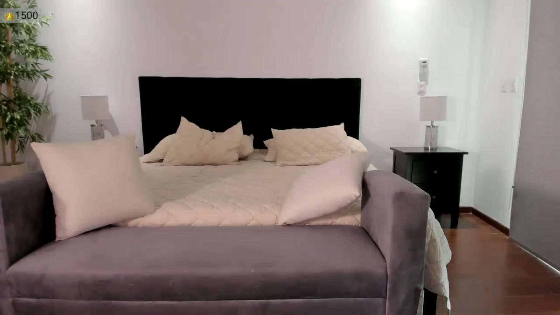 Gallery image thumbnail from Ms_Brenda's myfreecams stream on, 06/24/2025, 21:21 image 17 of 20