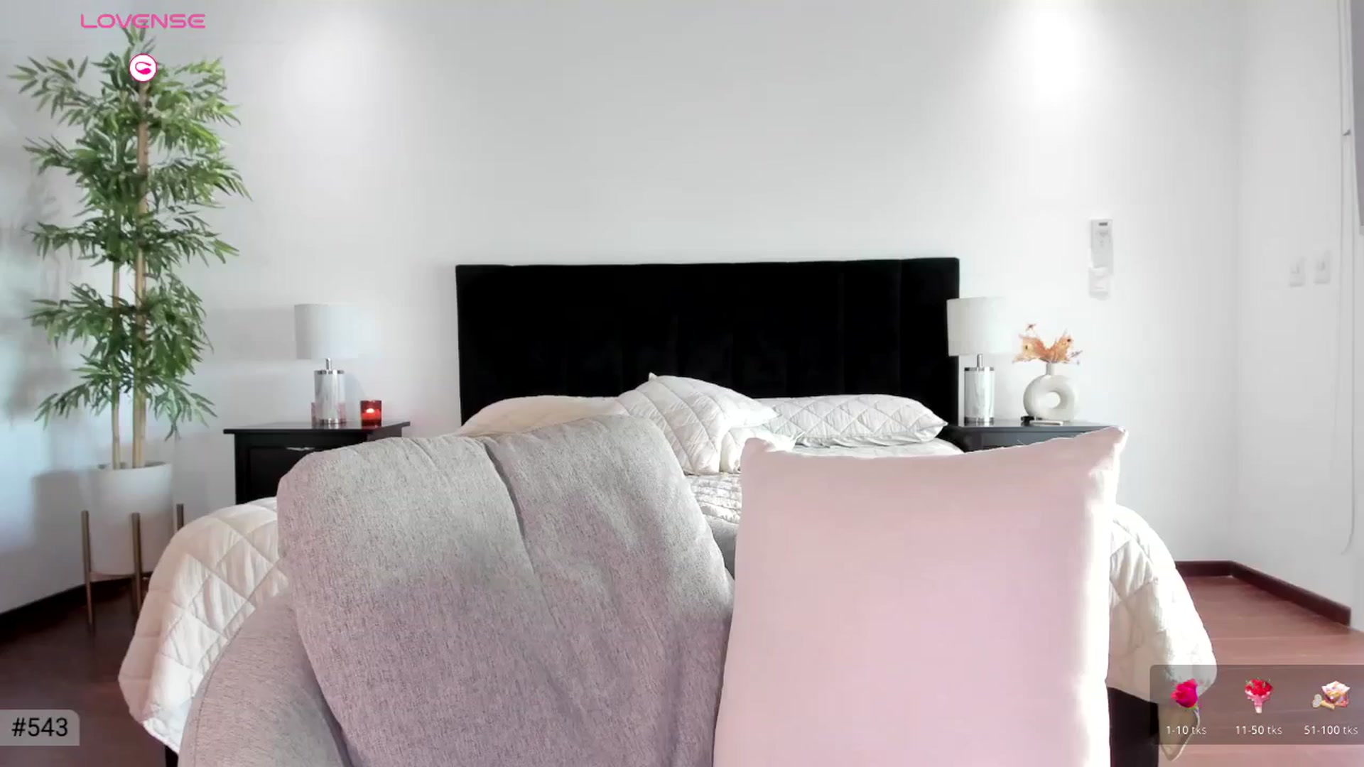 Gallery image thumbnail from Ms_Brenda's myfreecams stream on, 11/01/2025, 23:12 image 1 of 20