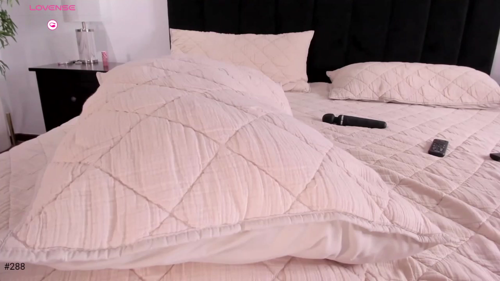 Gallery image thumbnail from Ms_Brenda's myfreecams stream on, 11/13/2025, 03:23 image 9 of 20