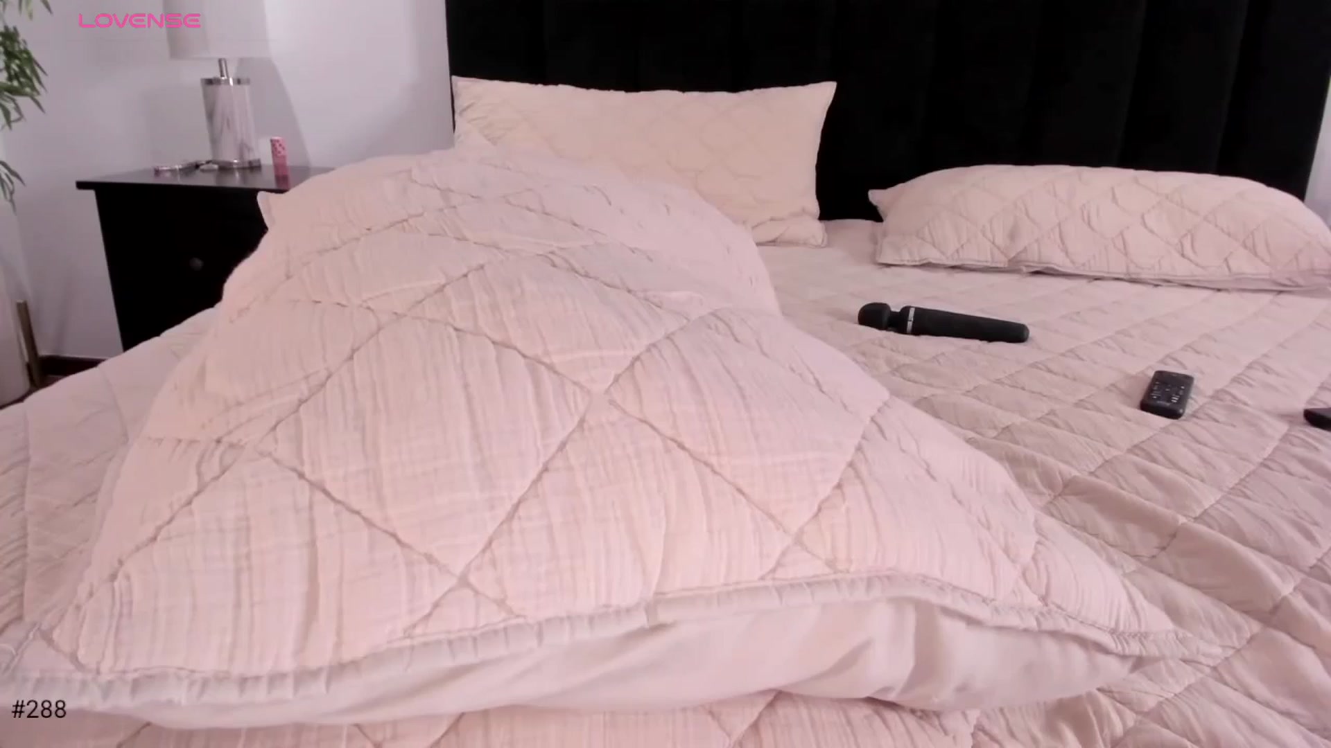 Gallery image thumbnail from Ms_Brenda's myfreecams stream on, 11/13/2025, 03:23 image 8 of 20