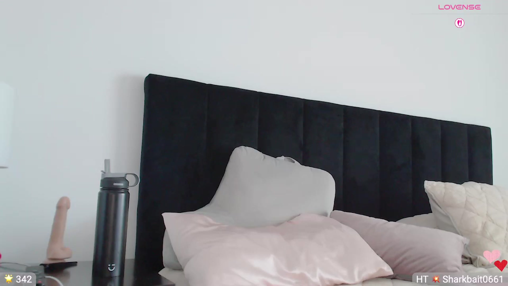 Gallery image thumbnail from Ms_Brenda's myfreecams stream on, 03/21/2026, 21:16 image 16 of 20