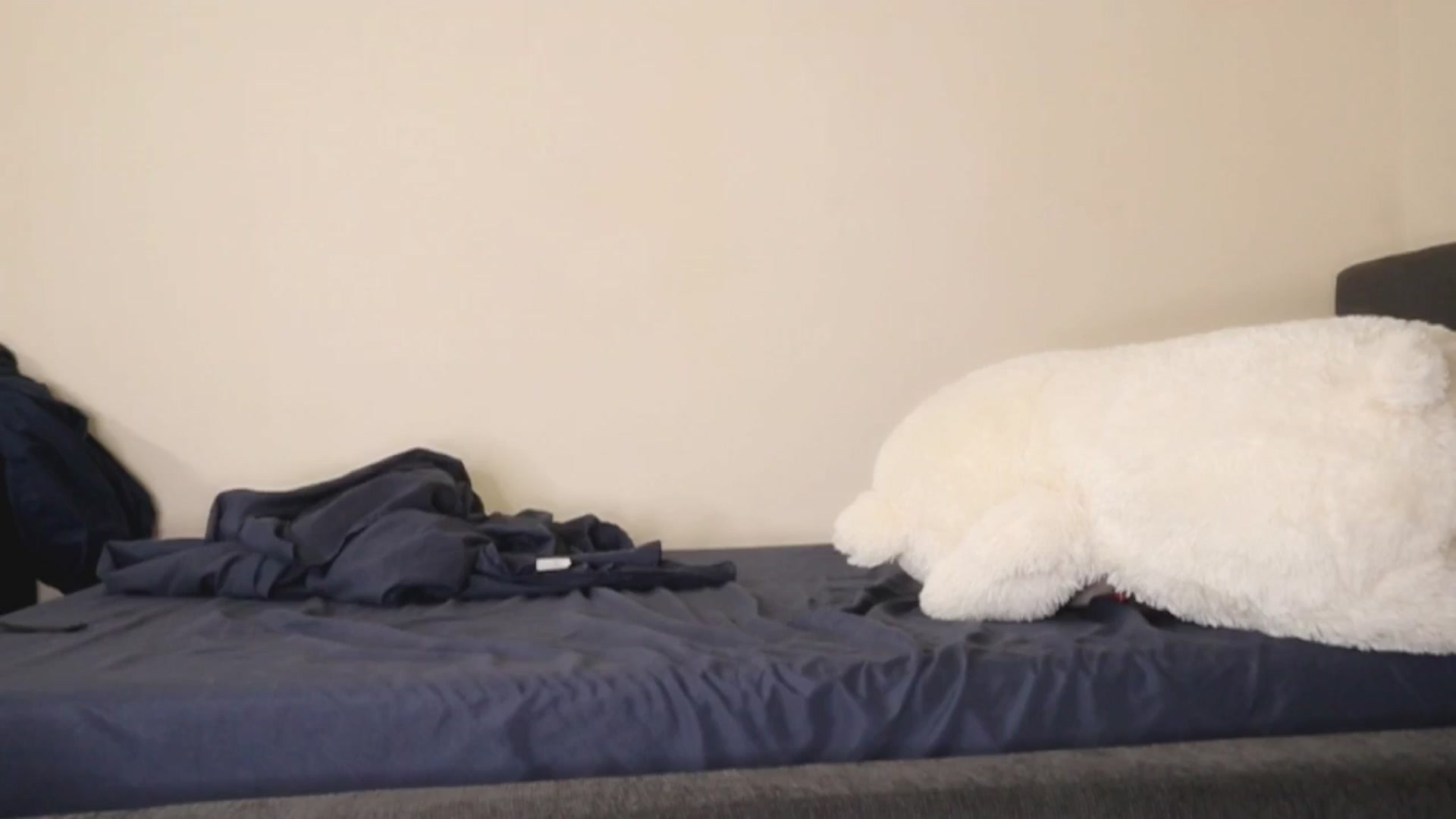 Gallery image thumbnail from Ms_GlitCh's myfreecams stream on, 10/25/2025, 10:28 image 17 of 20