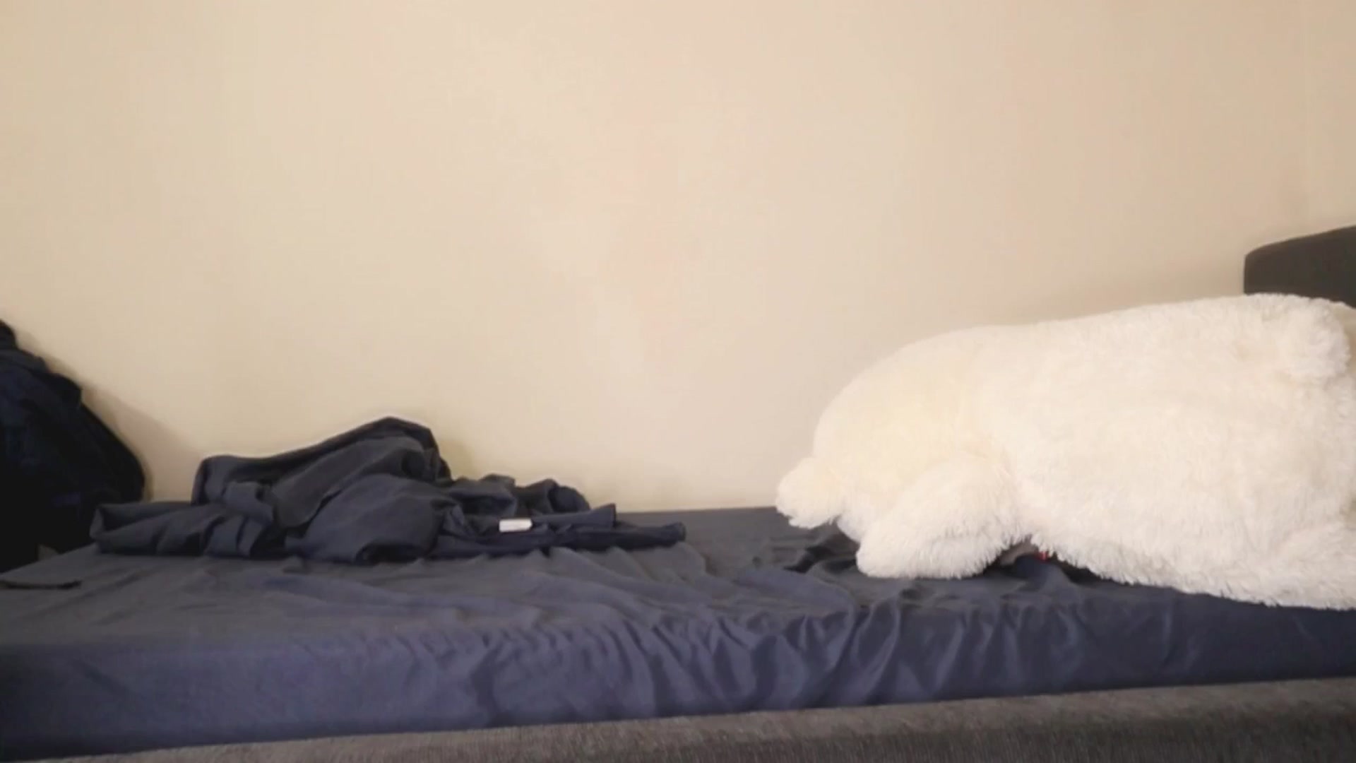 Gallery image thumbnail from Ms_GlitCh's myfreecams stream on, 10/25/2025, 10:28 image 7 of 20
