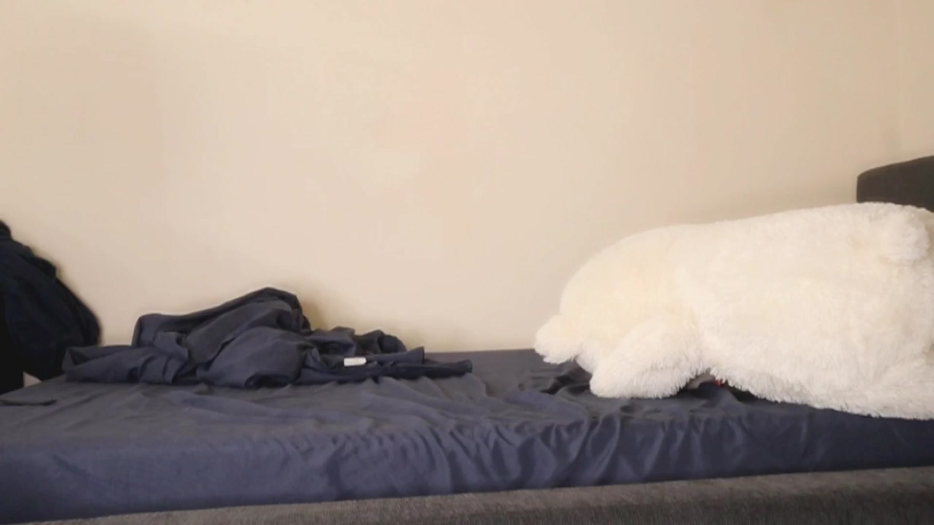 Gallery image thumbnail from Ms_GlitCh's myfreecams stream on, 10/25/2025, 10:28 image 8 of 20