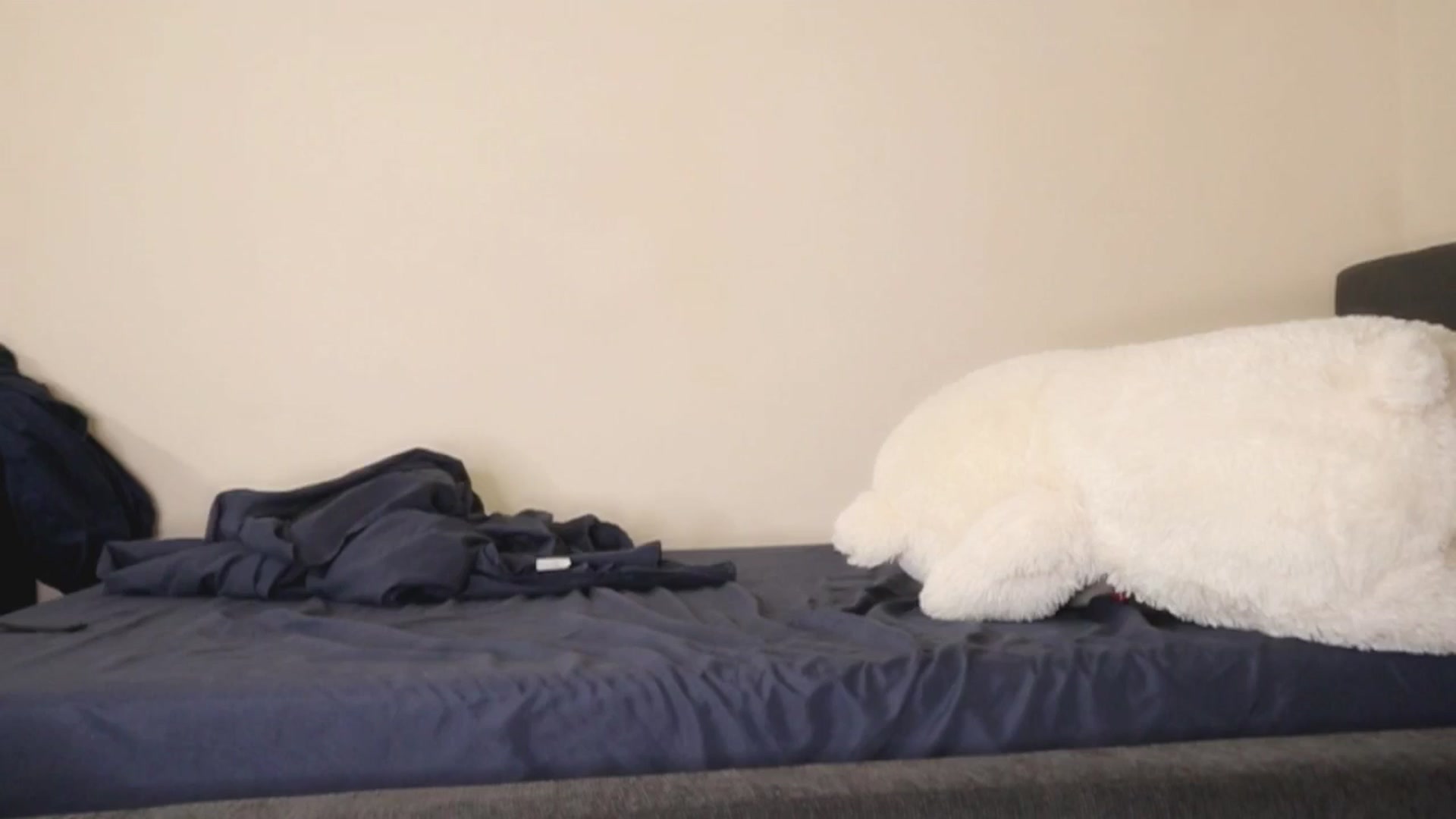 Gallery image thumbnail from Ms_GlitCh's myfreecams stream on, 10/25/2025, 10:28 image 15 of 20