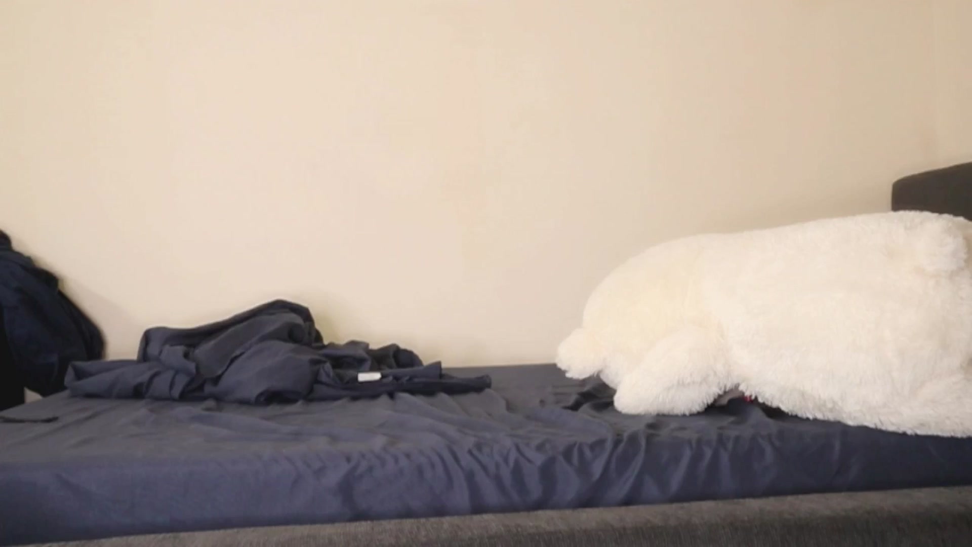 Gallery image thumbnail from Ms_GlitCh's myfreecams stream on, 10/25/2025, 10:28 image 9 of 20