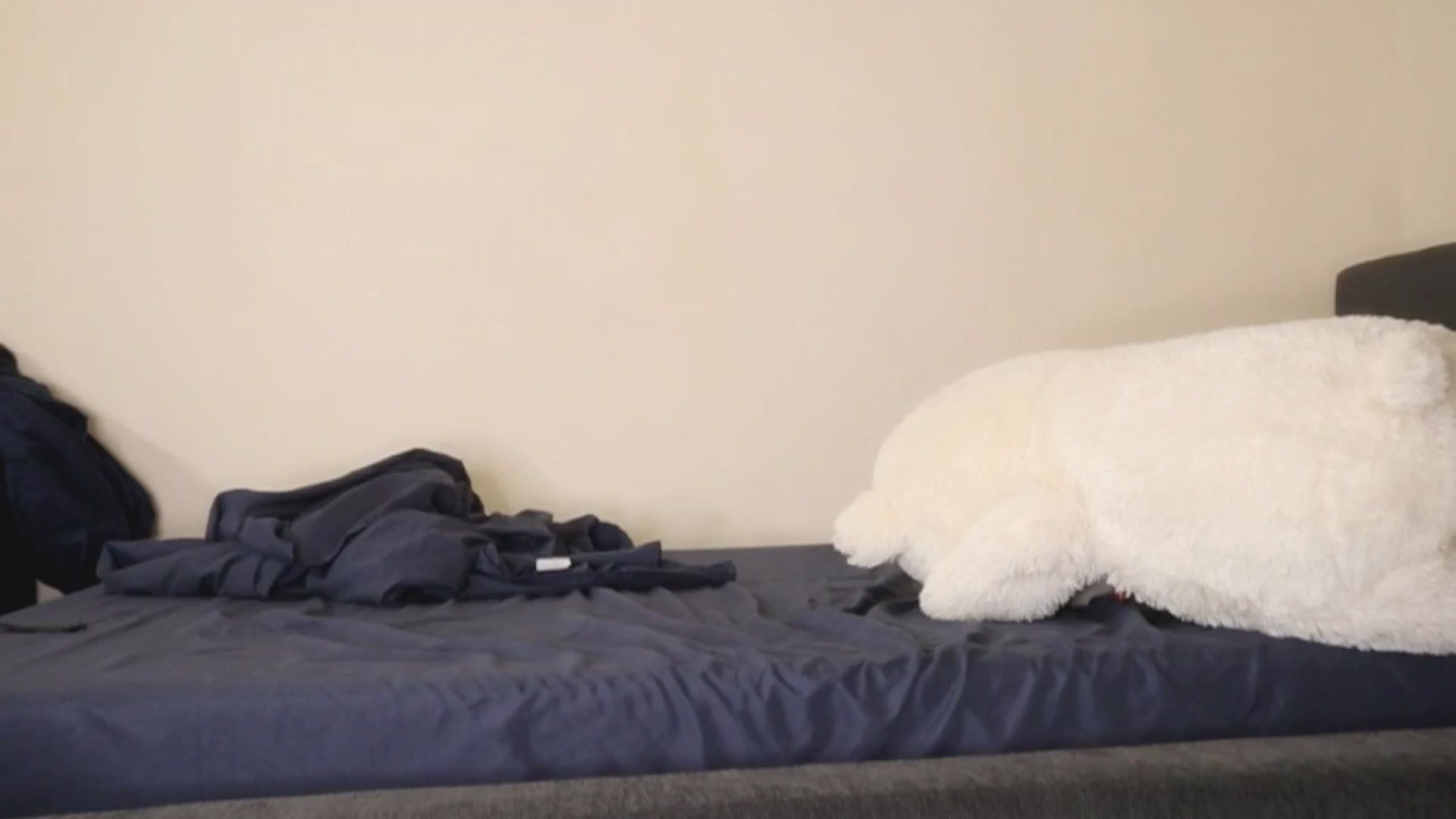Gallery image thumbnail from Ms_GlitCh's myfreecams stream on, 10/25/2025, 10:28 image 16 of 20