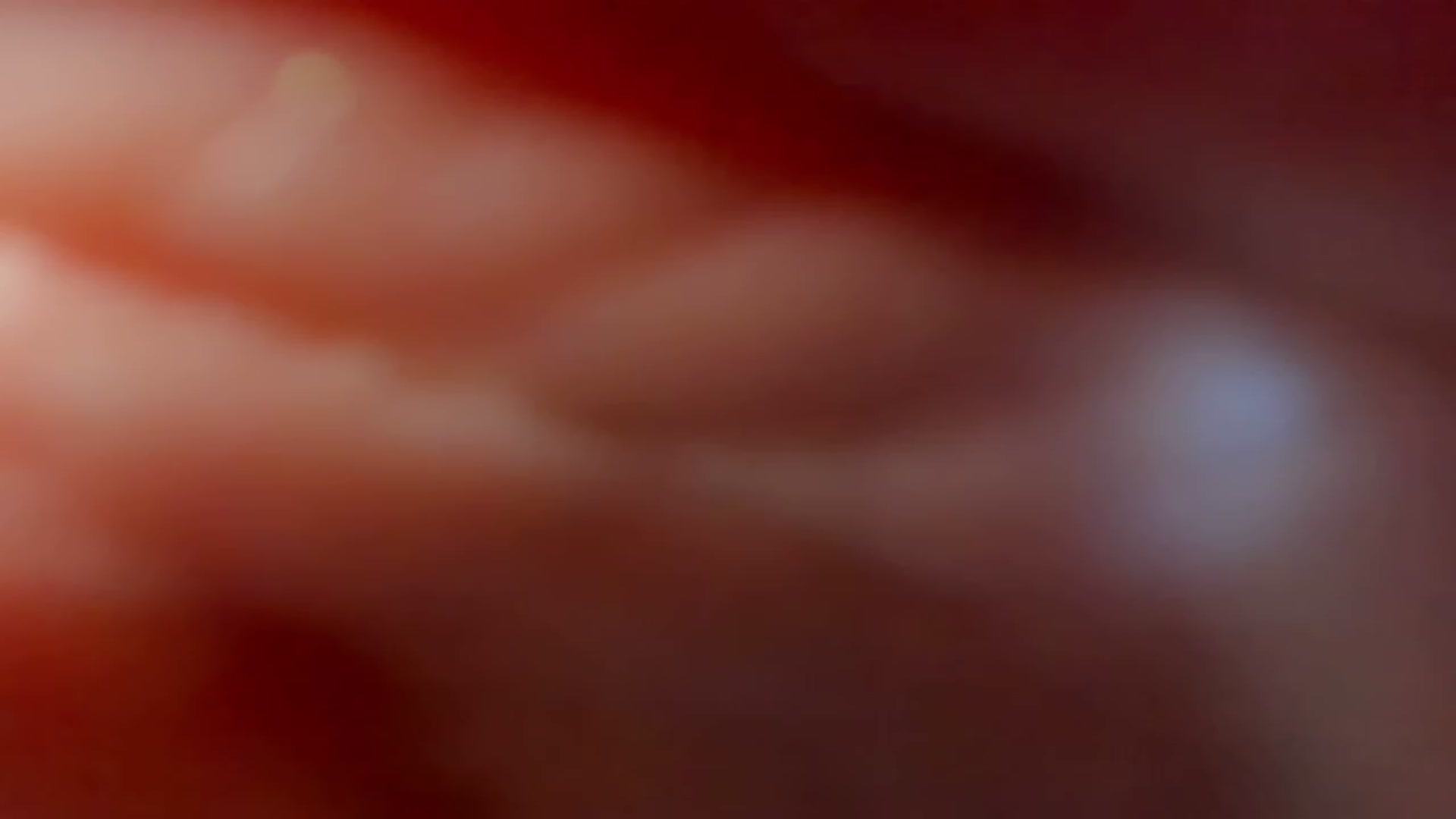Gallery image thumbnail from Ms_Seductive's myfreecams stream on, 04/06/2023, 17:22 image 1 of 20