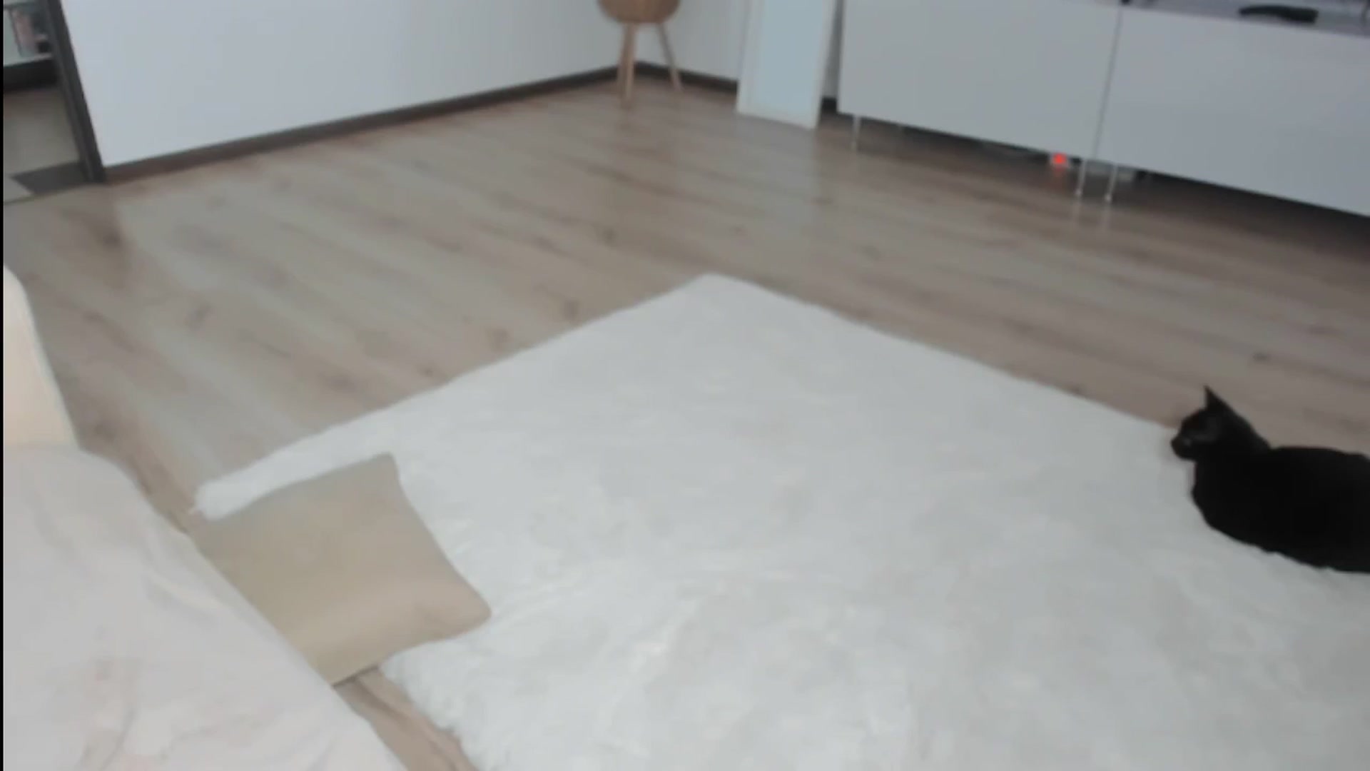 Gallery image thumbnail from Ms_Seductive's myfreecams stream on, 05/23/2024, 14:57 image 10 of 20