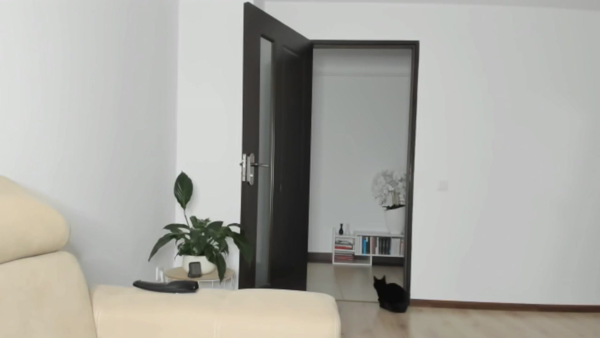 Gallery image thumbnail from Ms_Seductive's myfreecams stream on, 11/25/2024, 13:03 image 5 of 20