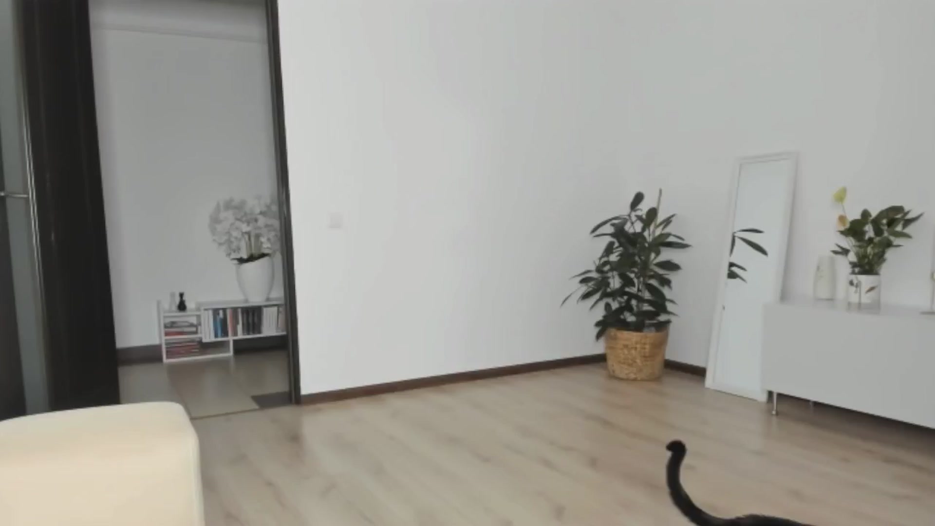 Gallery image thumbnail from Ms_Seductive's myfreecams stream on, 02/20/2025, 15:45 image 19 of 20