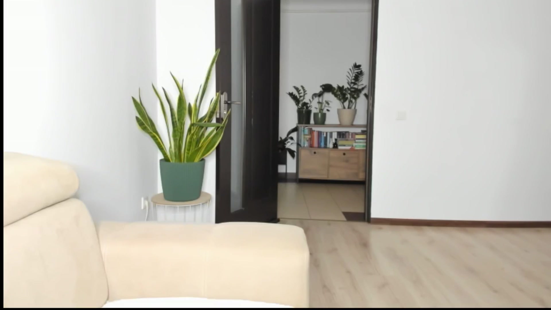 Gallery image thumbnail from Ms_Seductive's myfreecams stream on, 02/24/2026, 16:01 image 20 of 20