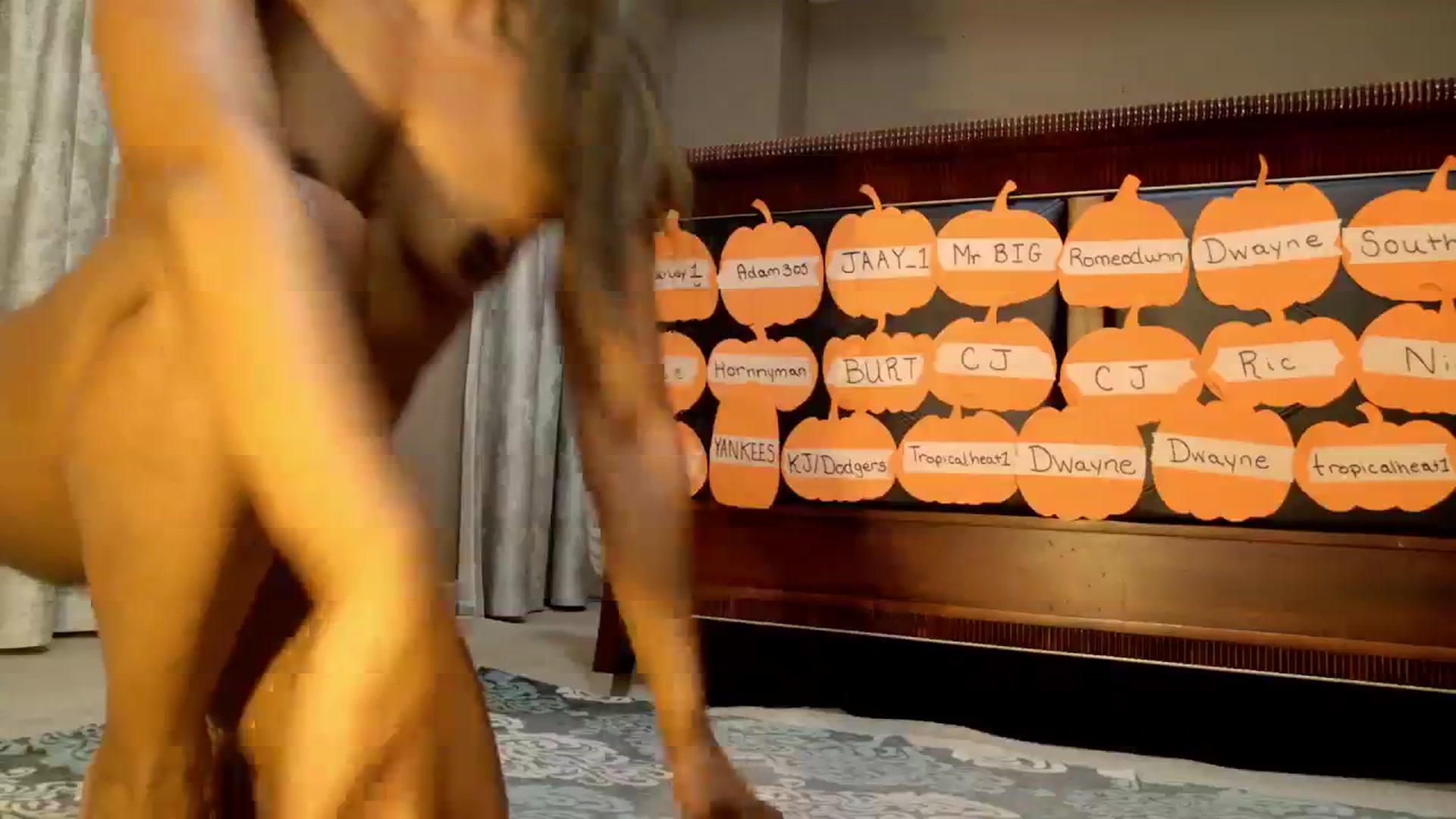 Gallery image thumbnail from Ms_WetNWild's myfreecams stream on, 10/16/2025, 04:28 image 15 of 20