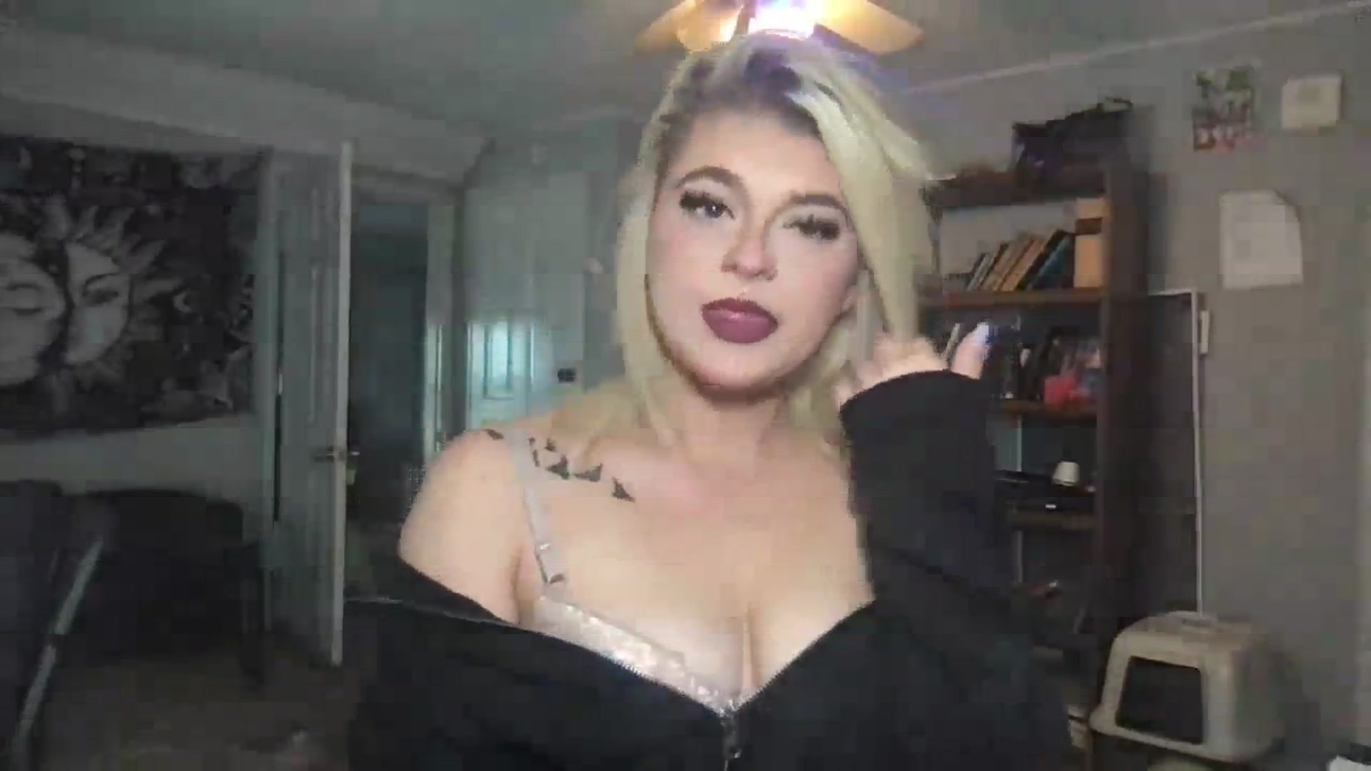 Gallery image thumbnail from Msbrandyjack's myfreecams stream on, 08/29/2023, 14:51 image 17 of 20