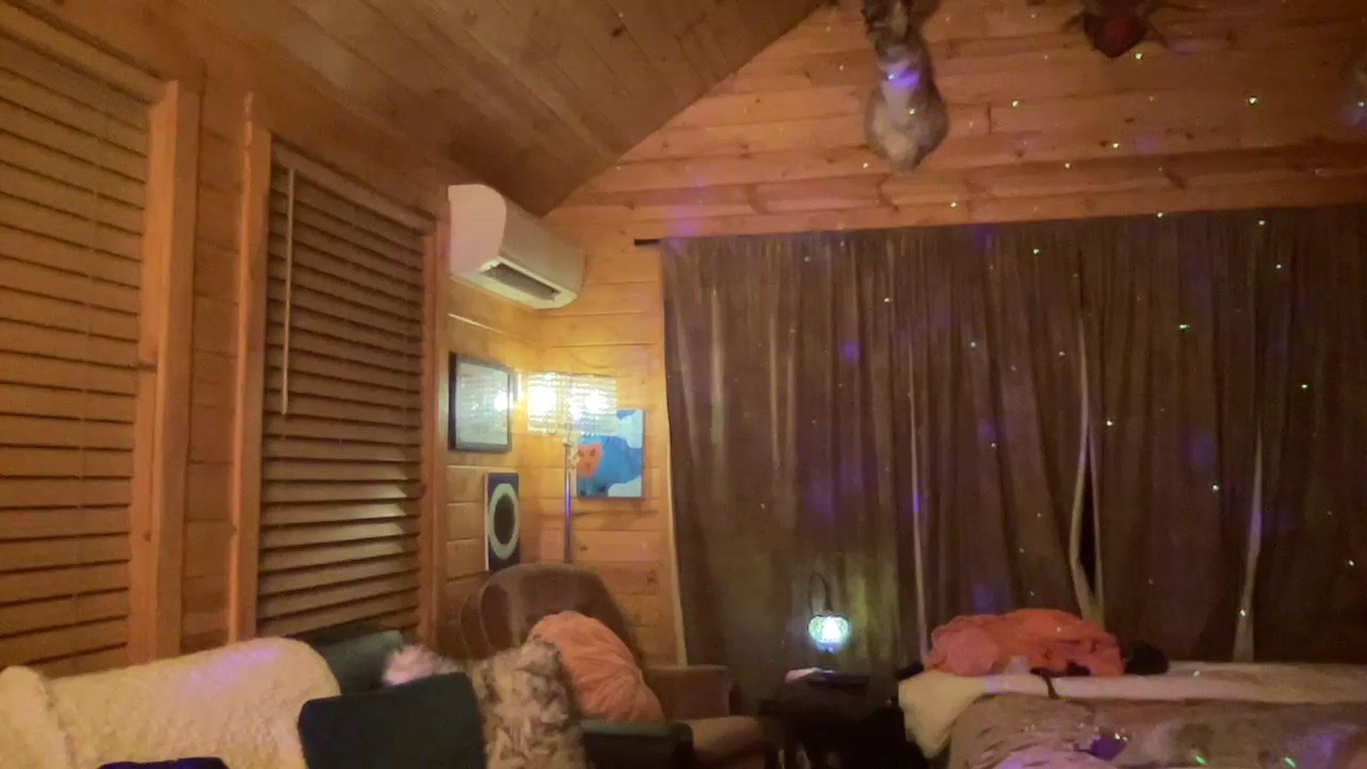 Gallery image thumbnail from Msfoxxylove's myfreecams stream on, 04/06/2026, 02:58 image 6 of 20