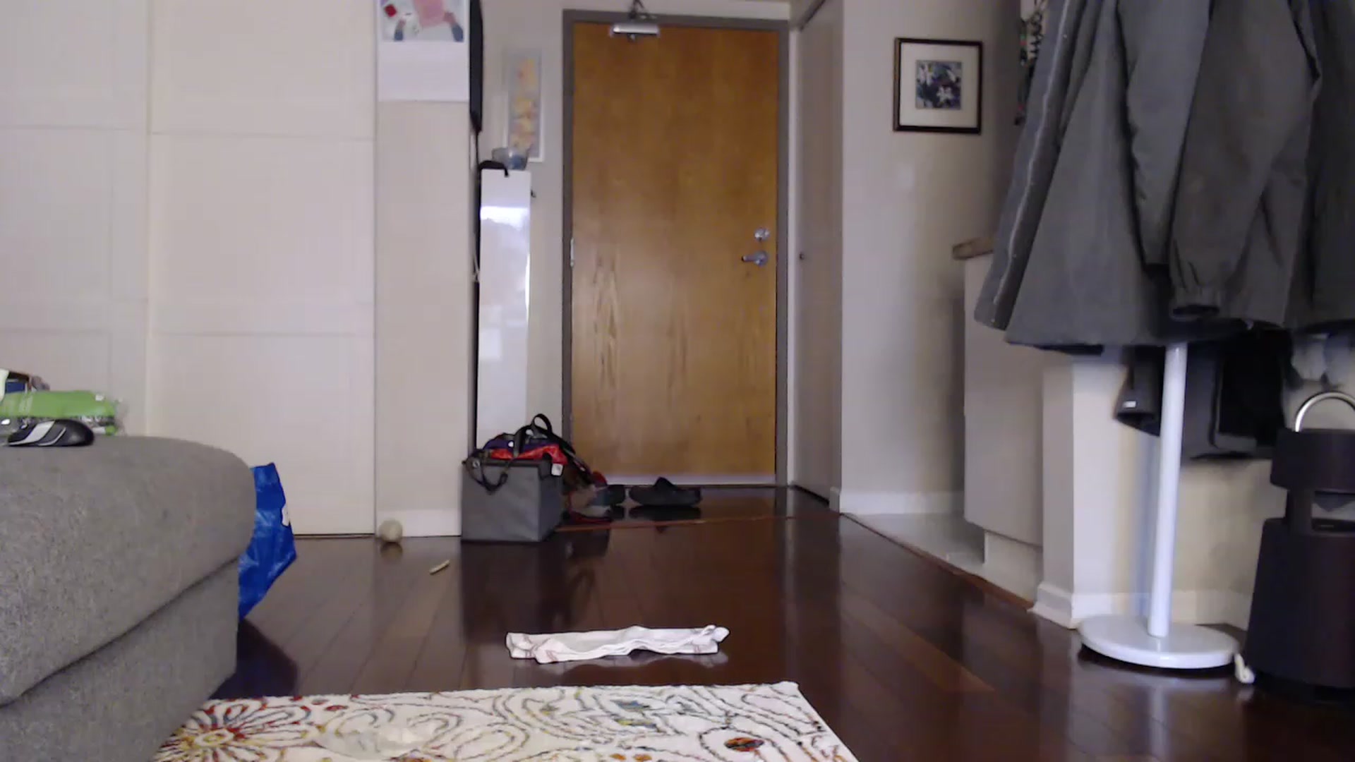 Gallery image thumbnail from MuseThalia's myfreecams stream on, 01/03/2023, 21:42 image 14 of 20