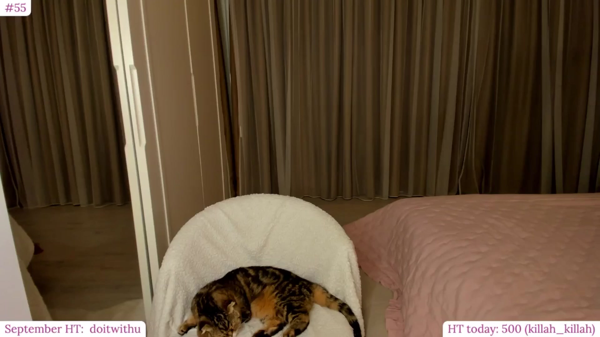 Gallery image thumbnail from Muse_'s myfreecams stream on, 09/29/2024, 20:20 image 15 of 20