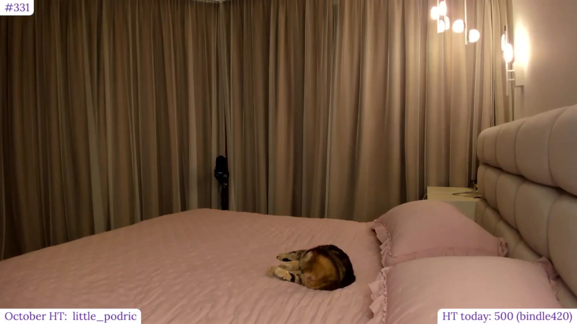 Gallery image thumbnail from Muse_'s myfreecams stream on, 10/04/2024, 22:31 image 9 of 20