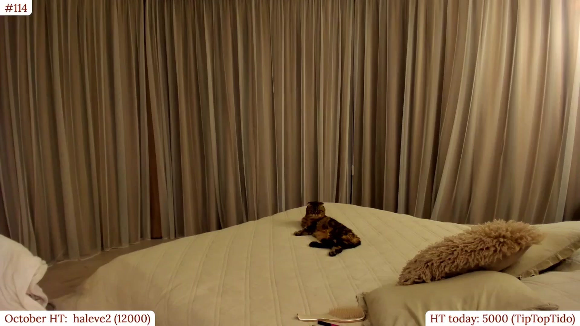 Gallery image thumbnail from Muse_'s myfreecams stream on, 10/10/2025, 21:42 image 19 of 20