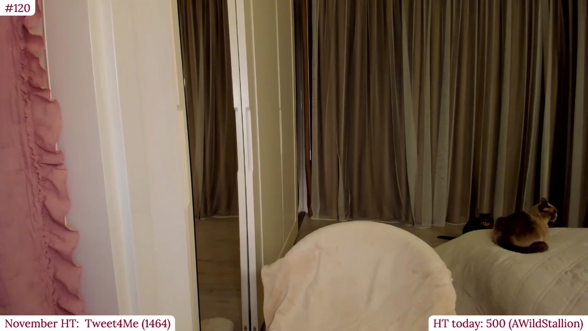 Gallery image thumbnail from Muse_'s myfreecams stream on, 11/06/2025, 23:02 image 18 of 20