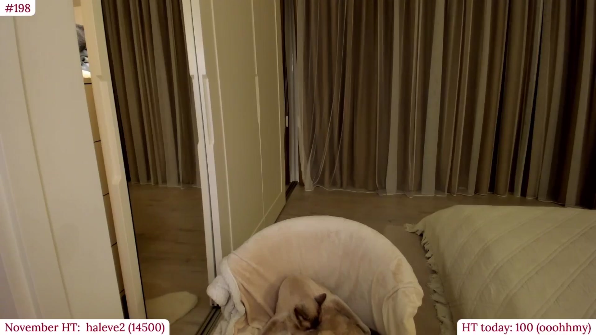 Gallery image thumbnail from Muse_'s myfreecams stream on, 11/23/2025, 20:57 image 17 of 20