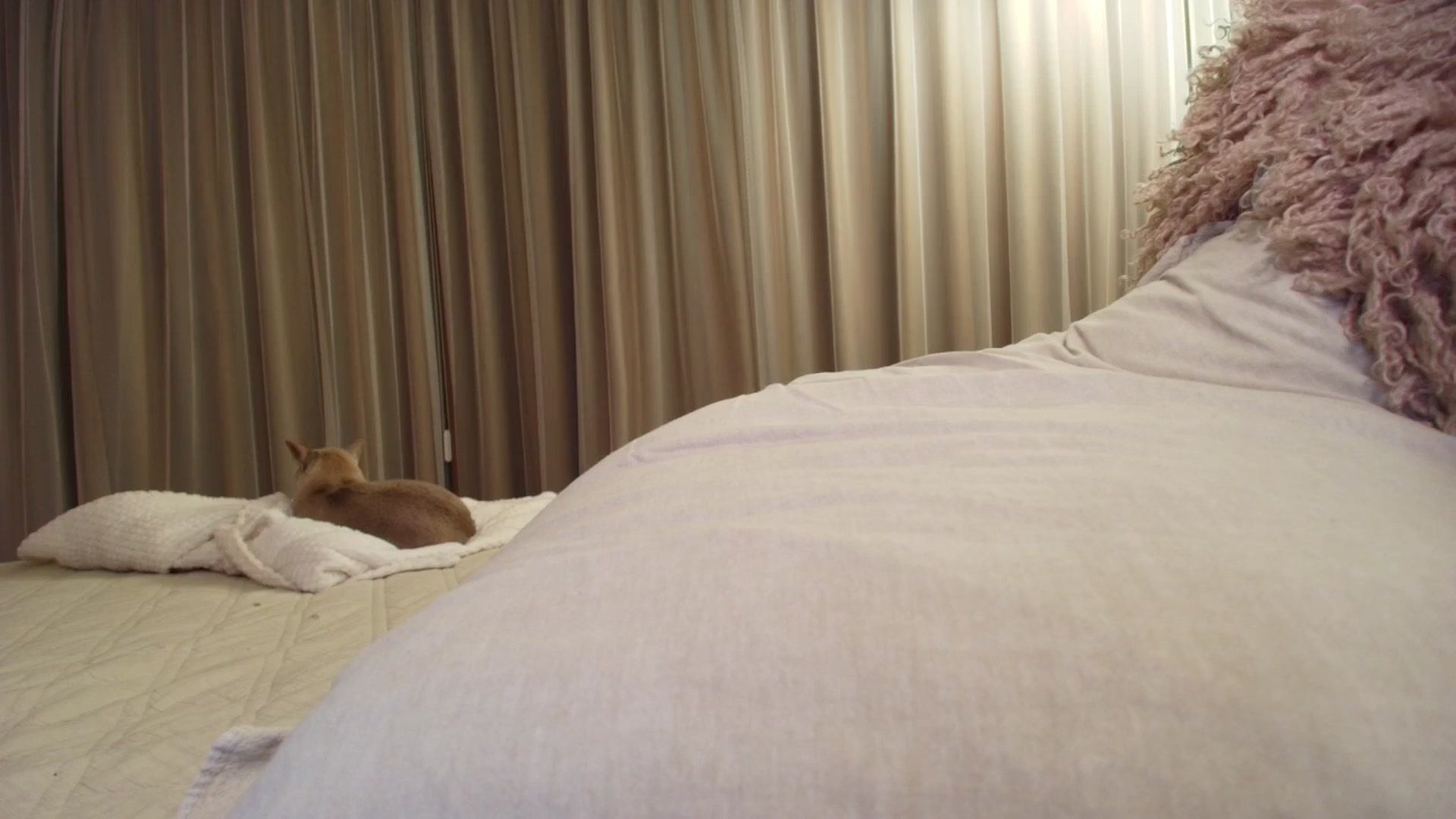 Gallery image thumbnail from Muse_'s myfreecams stream on, 12/15/2025, 17:48 image 2 of 20