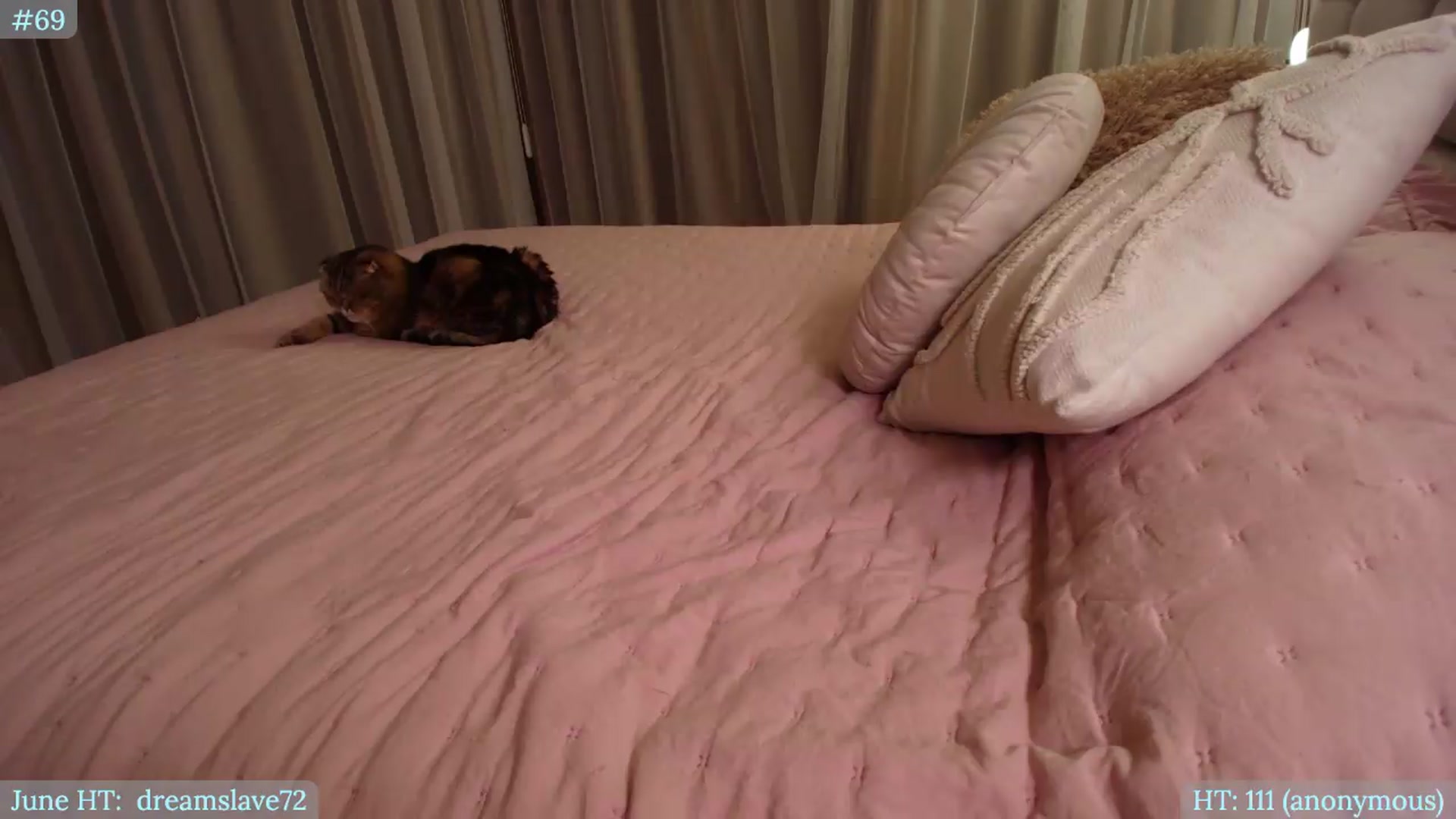 Gallery image thumbnail from Muse_'s myfreecams stream on, 06/06/2026, 22:25 image 15 of 20