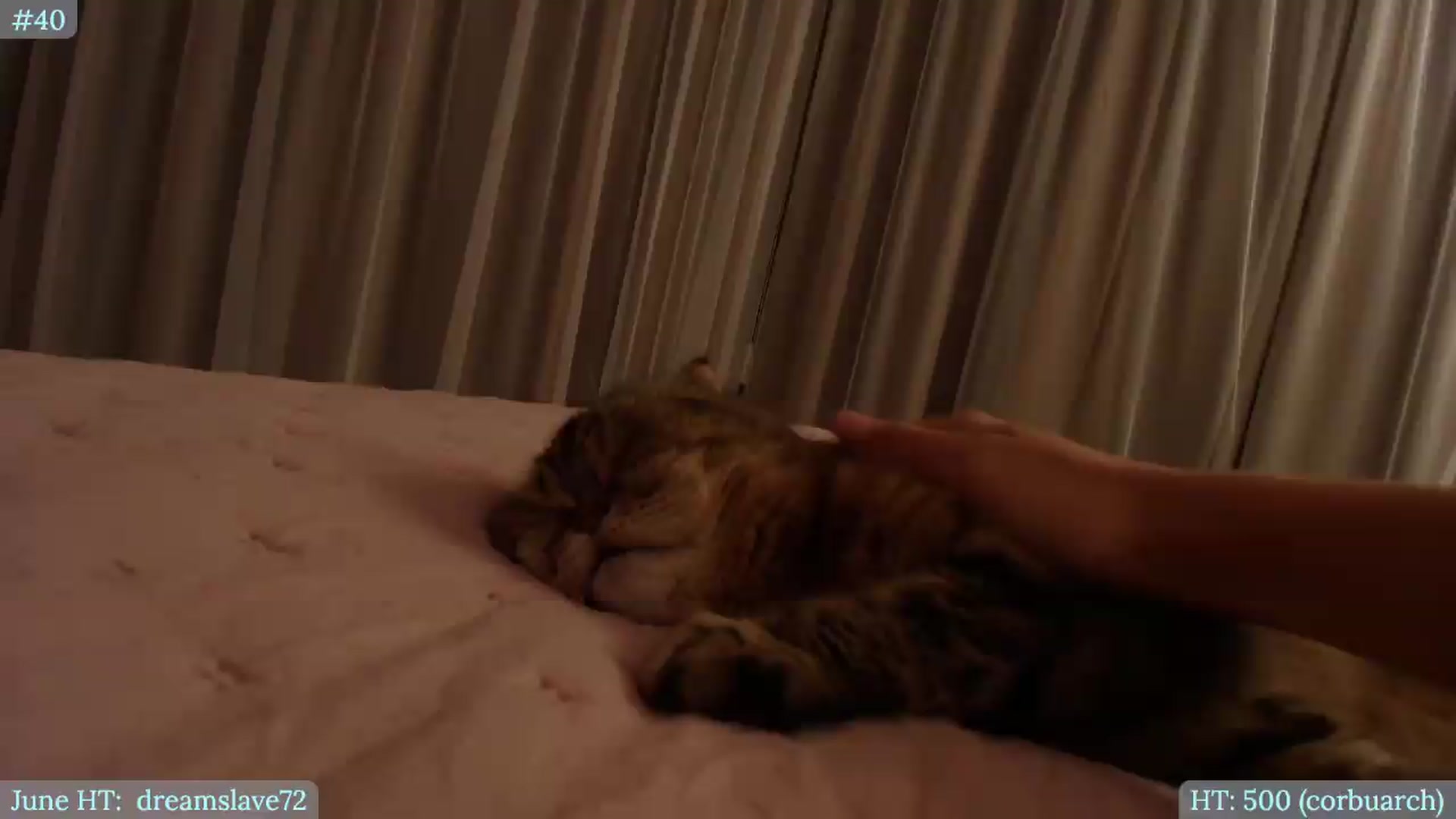 Gallery image thumbnail from Muse_'s myfreecams stream on, 06/26/2026, 23:23 image 16 of 20
