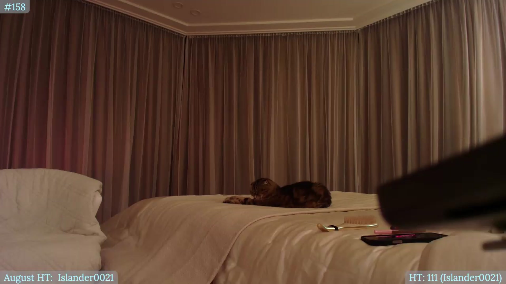 Gallery image thumbnail from Muse_'s myfreecams stream on, 08/01/2026, 19:48 image 20 of 20